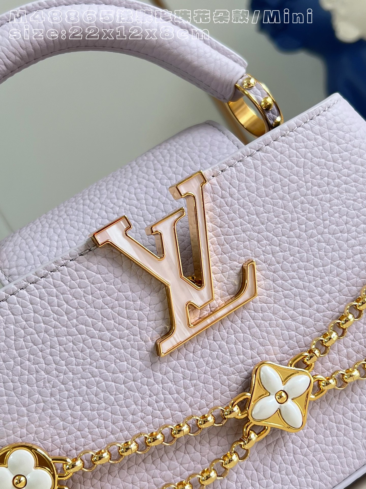 Louis Vuitton Basic Bag Cow Leather M-l-s
