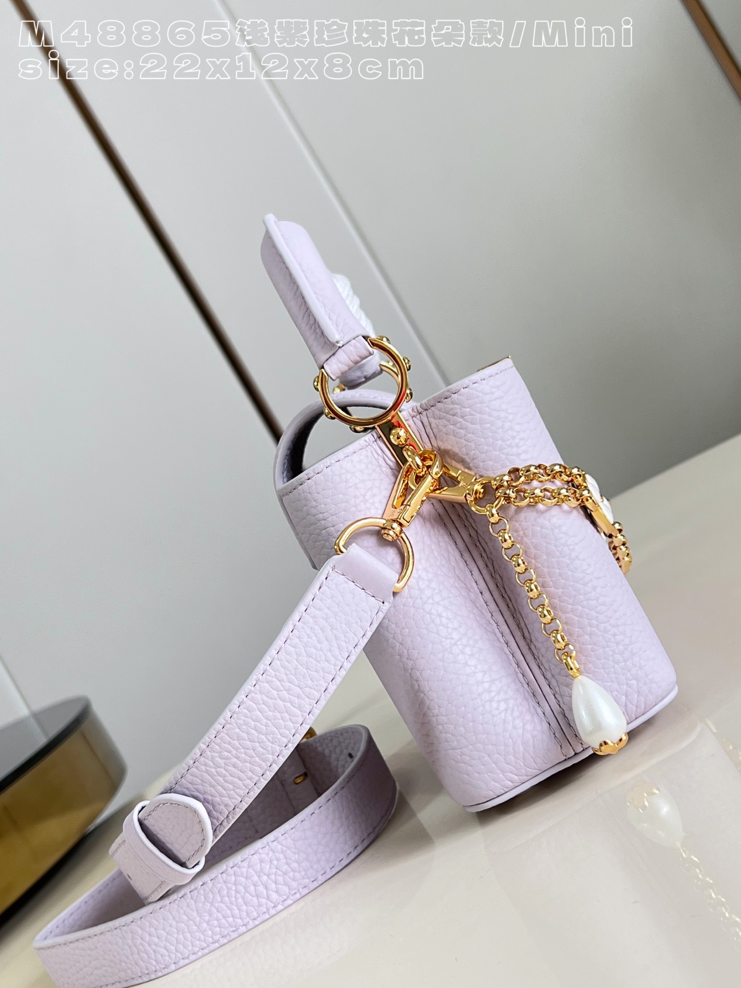 Louis Vuitton Basic Bag Cow Leather M-l-s