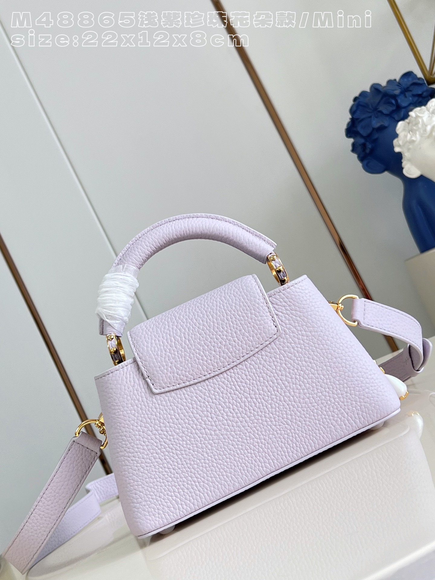 Louis Vuitton Basic Bag Cow Leather M-l-s