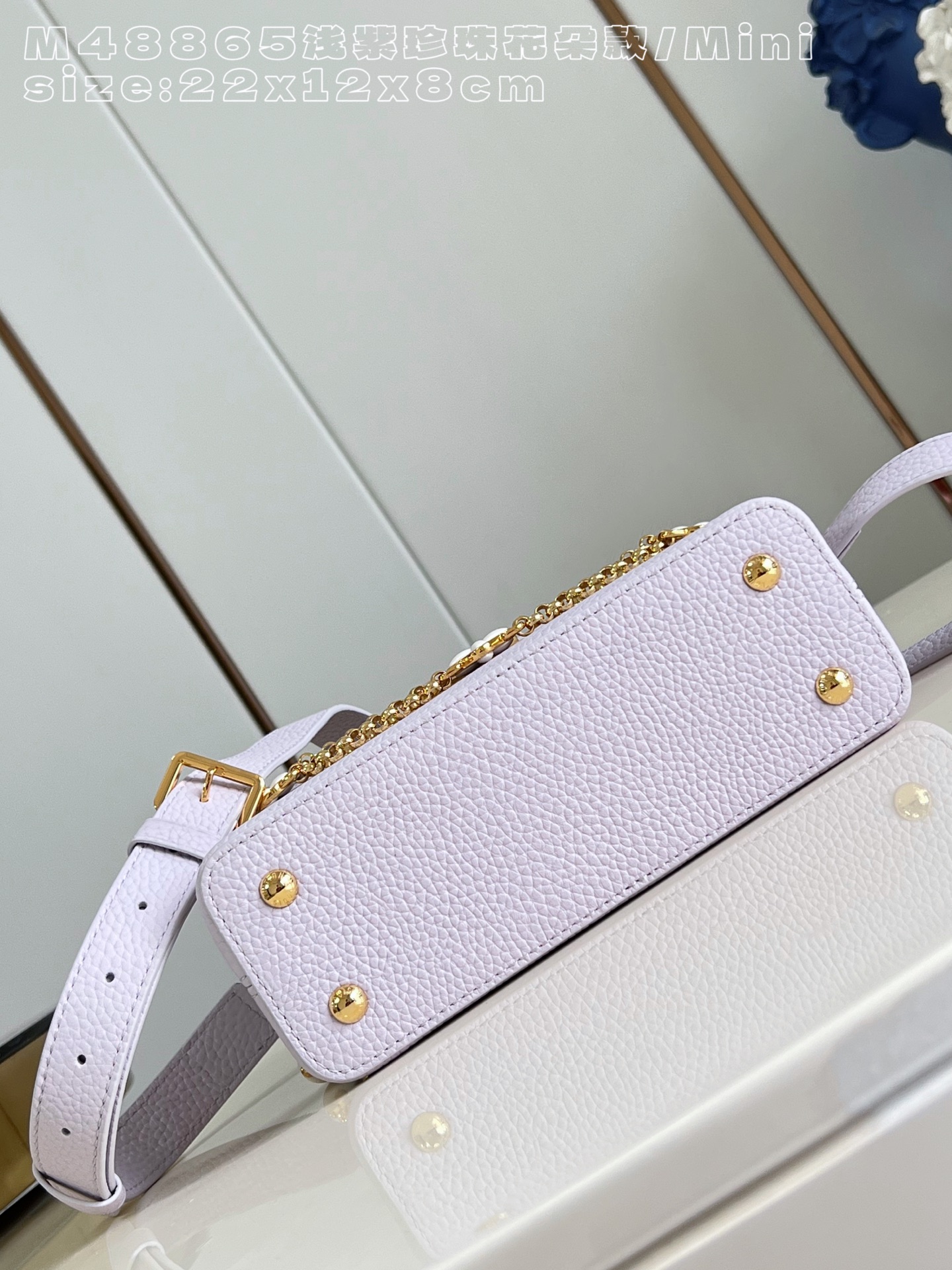 Louis Vuitton Basic Bag Cow Leather M-l-s