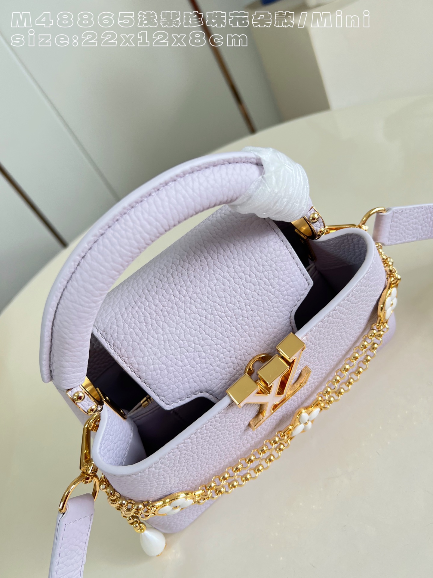 Louis Vuitton Basic Bag Cow Leather M-l-s