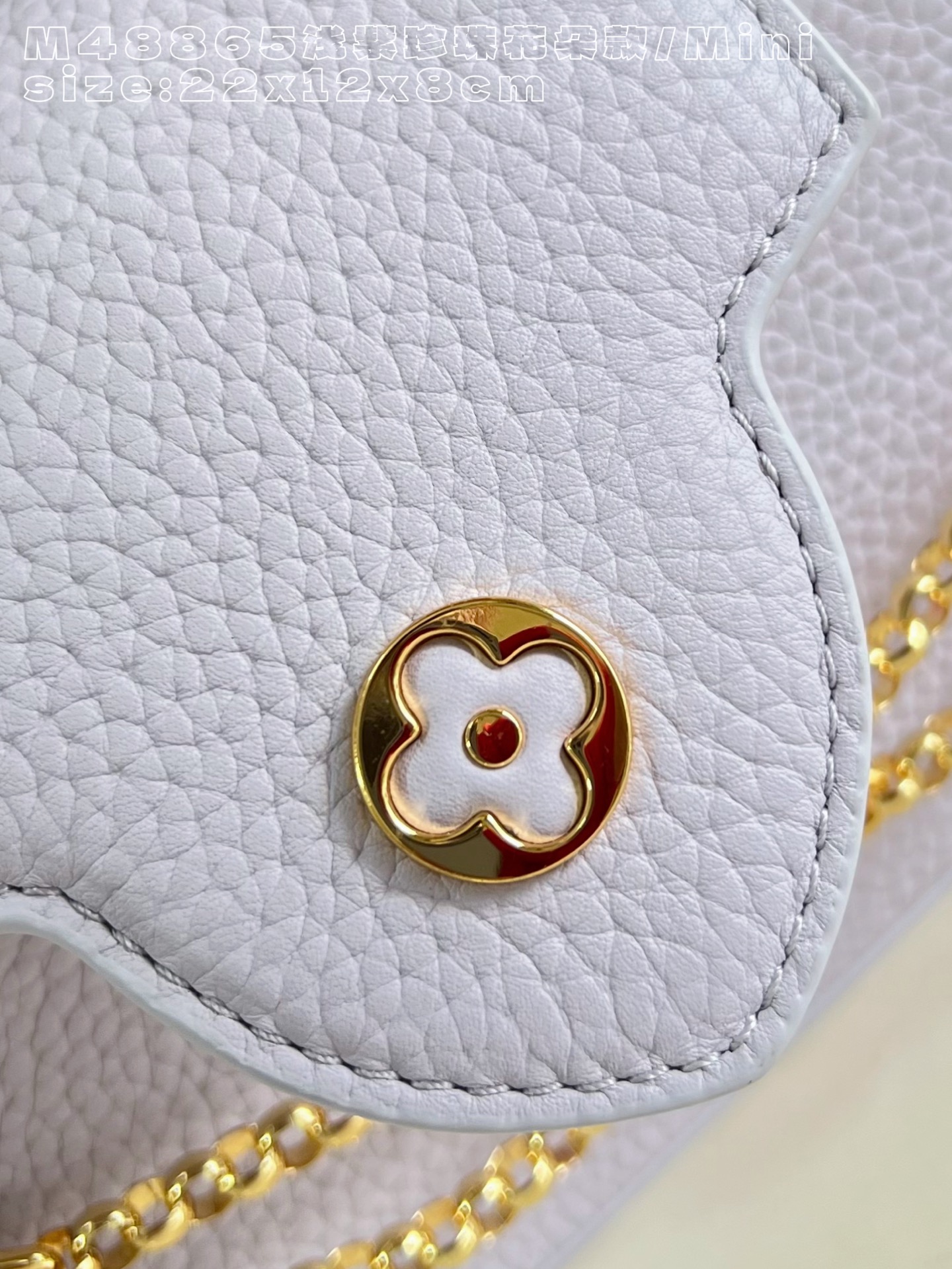 Louis Vuitton Basic Bag Cow Leather M-l-s