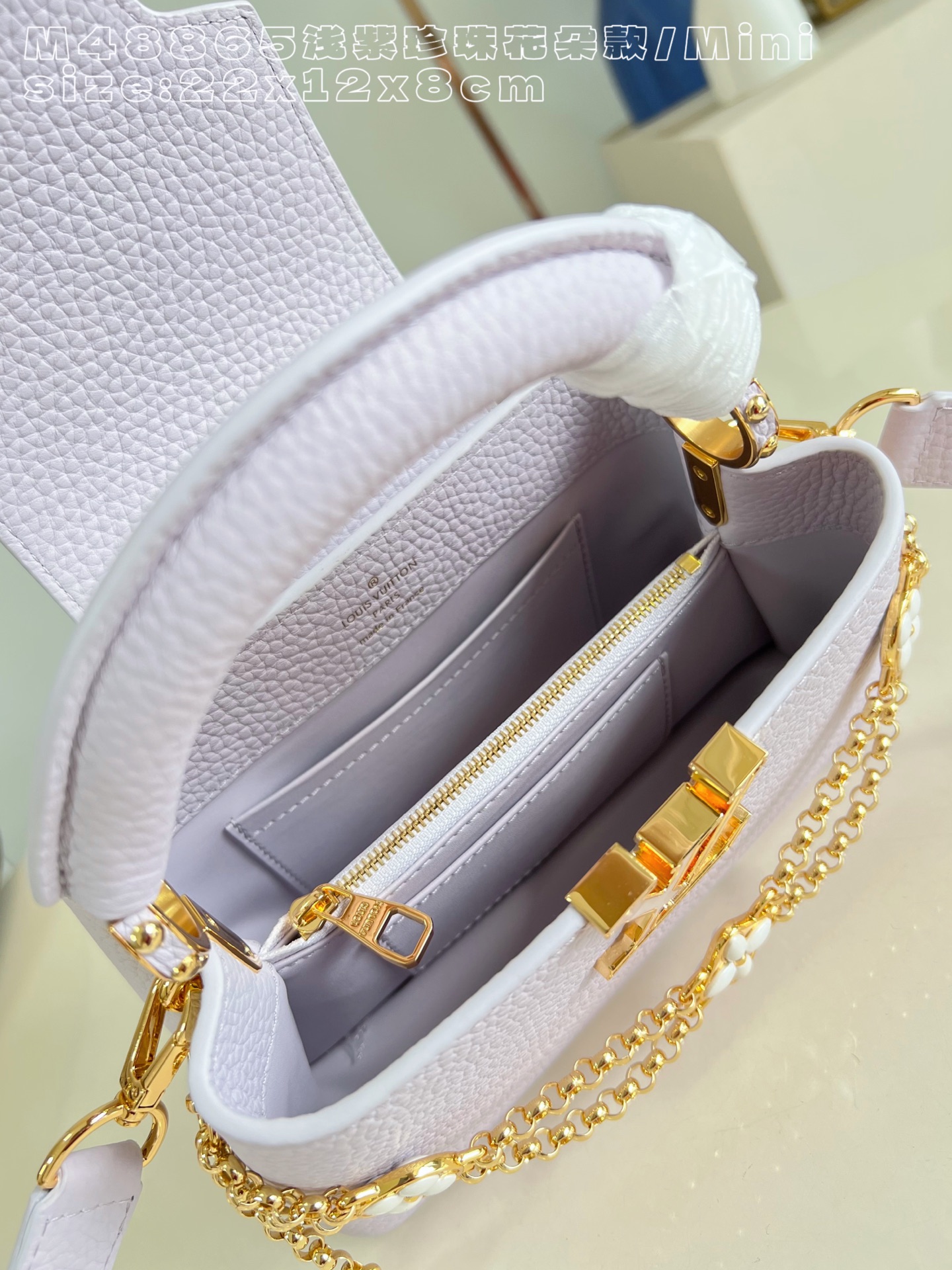 Louis Vuitton Basic Bag Cow Leather M-l-s