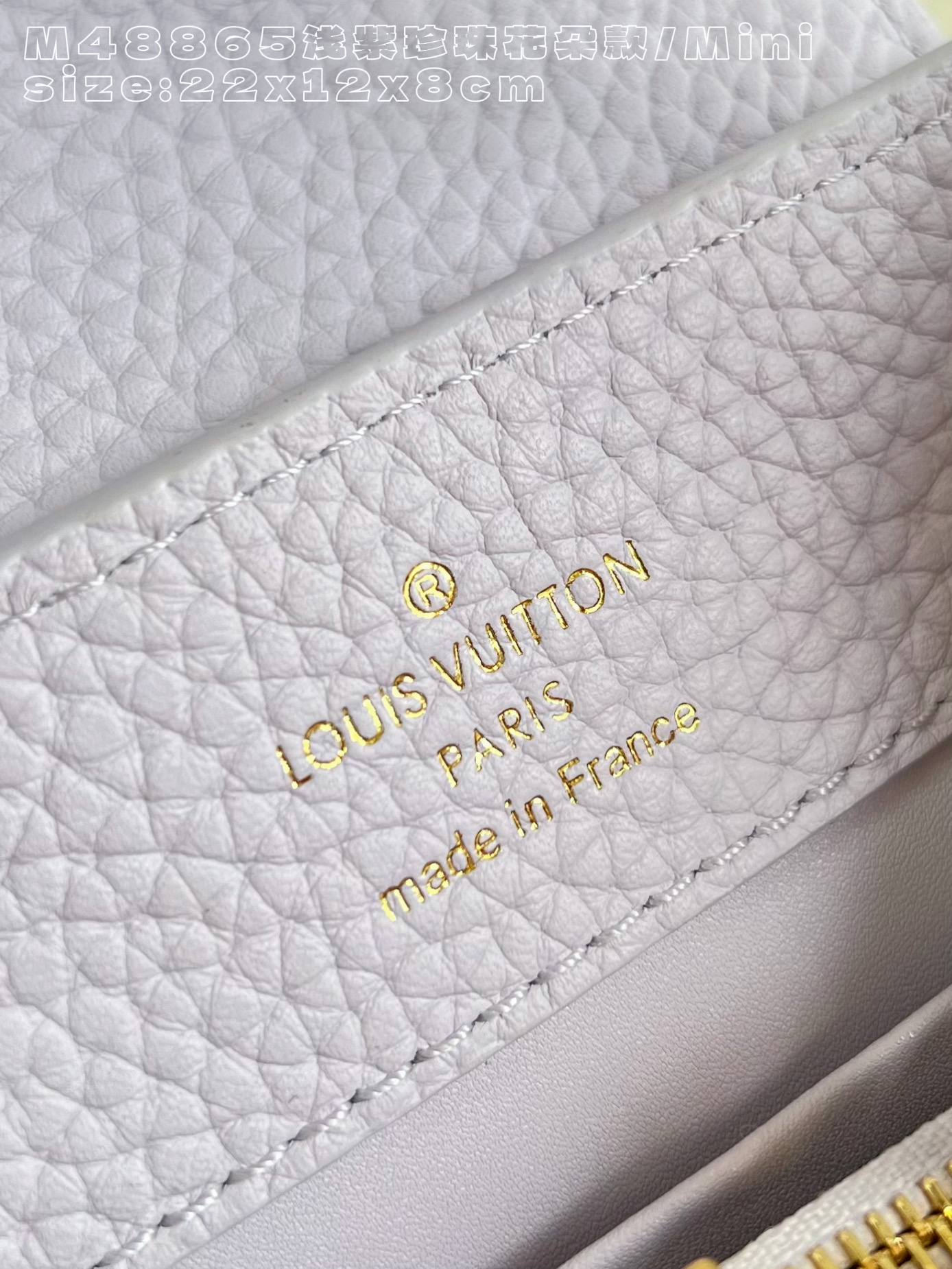 Louis Vuitton Basic Bag Cow Leather M-l-s