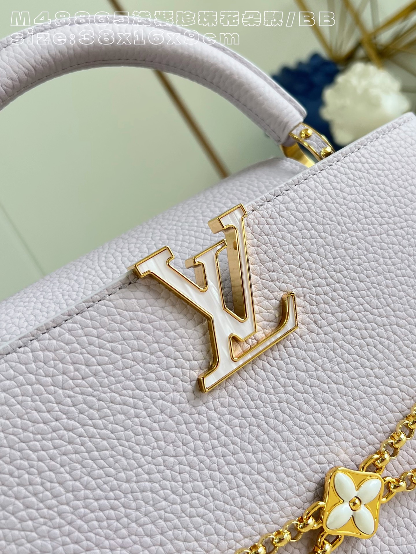Louis Vuitton Basic Bag Cow Leather M-l-s
