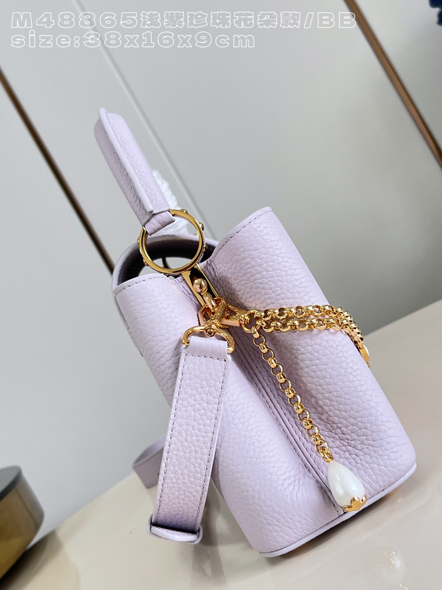 Louis Vuitton Basic Bag Cow Leather M-l-s