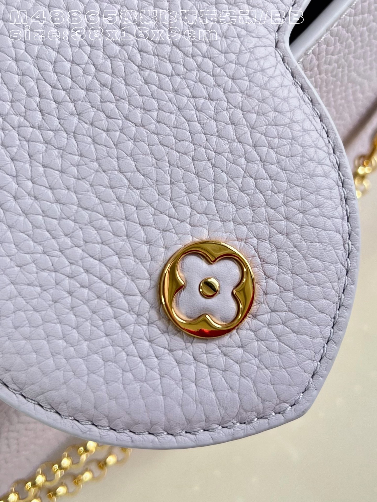 Louis Vuitton Basic Bag Cow Leather M-l-s