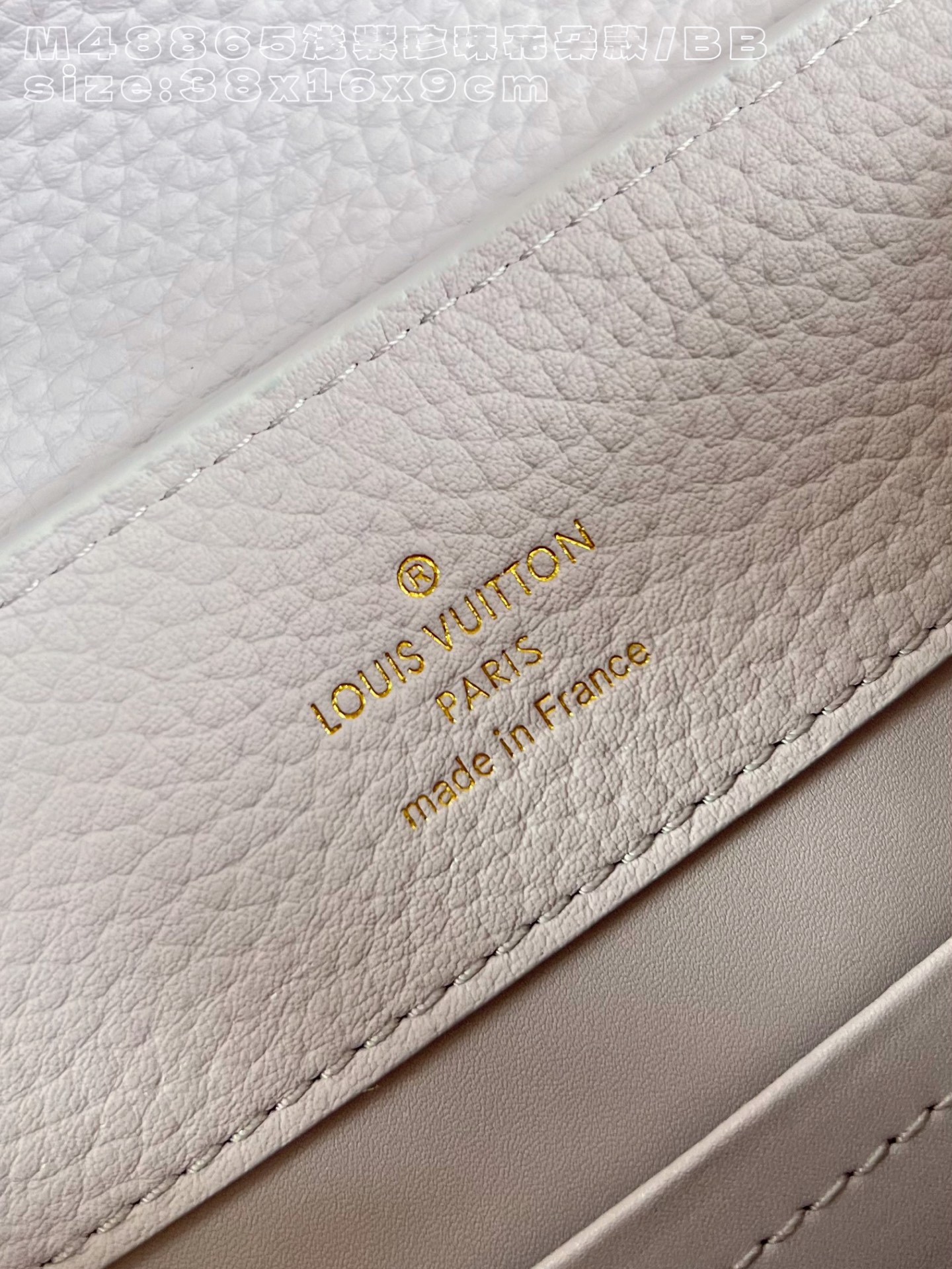 Louis Vuitton Basic Bag Cow Leather M-l-s