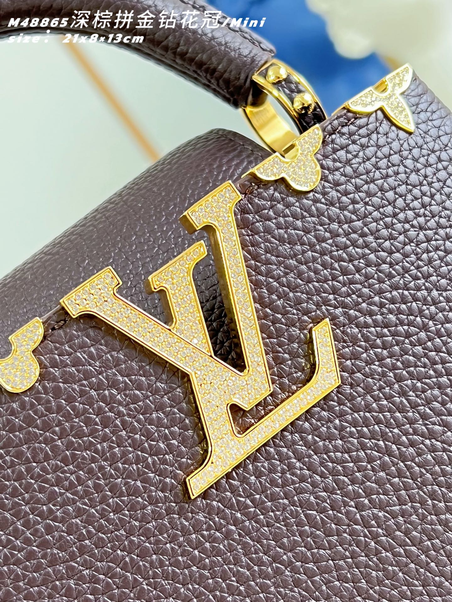 Louis Vuitton Basic Bag Cow Leather M-l-s