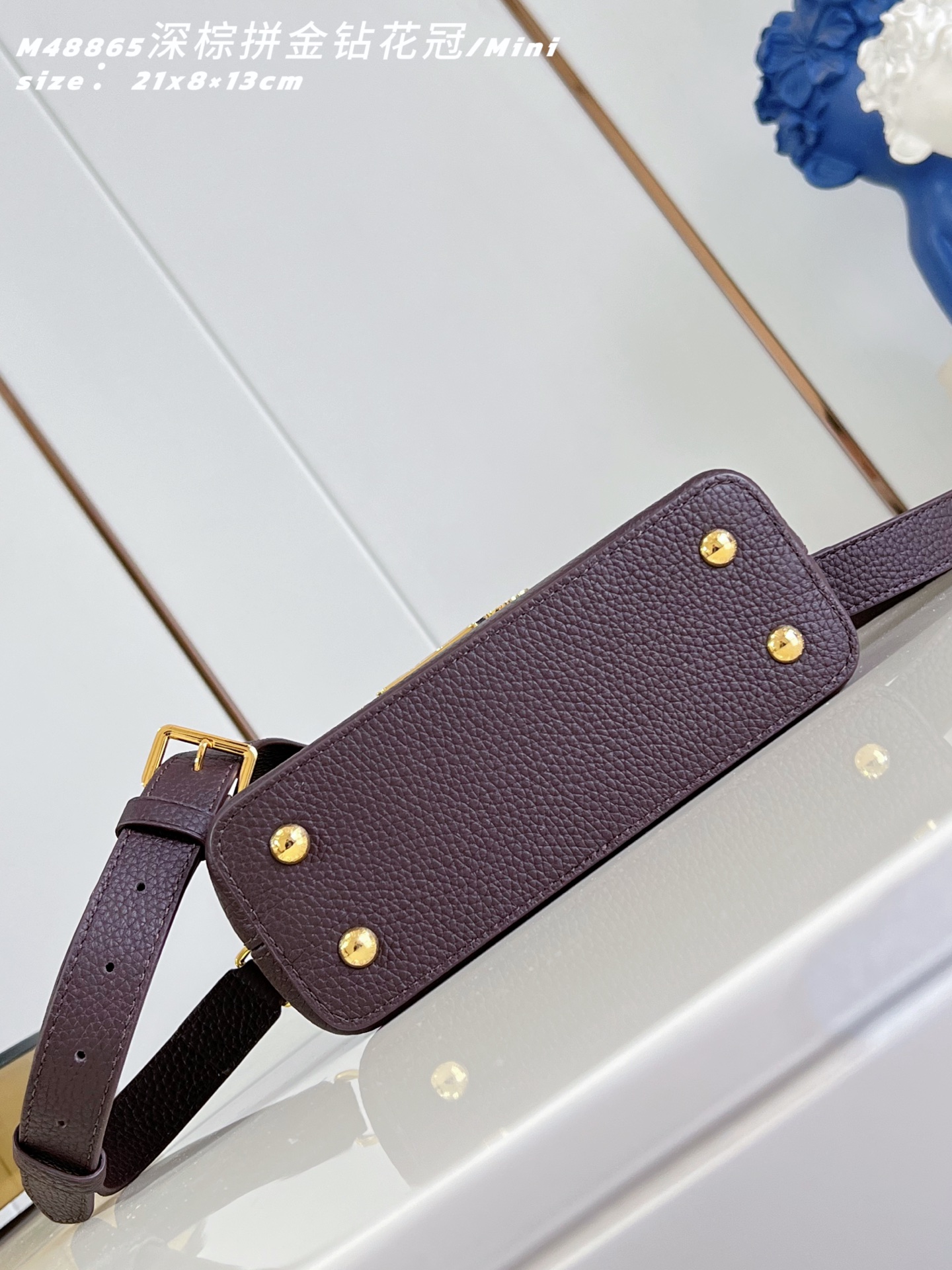 Louis Vuitton Basic Bag Cow Leather M-l-s