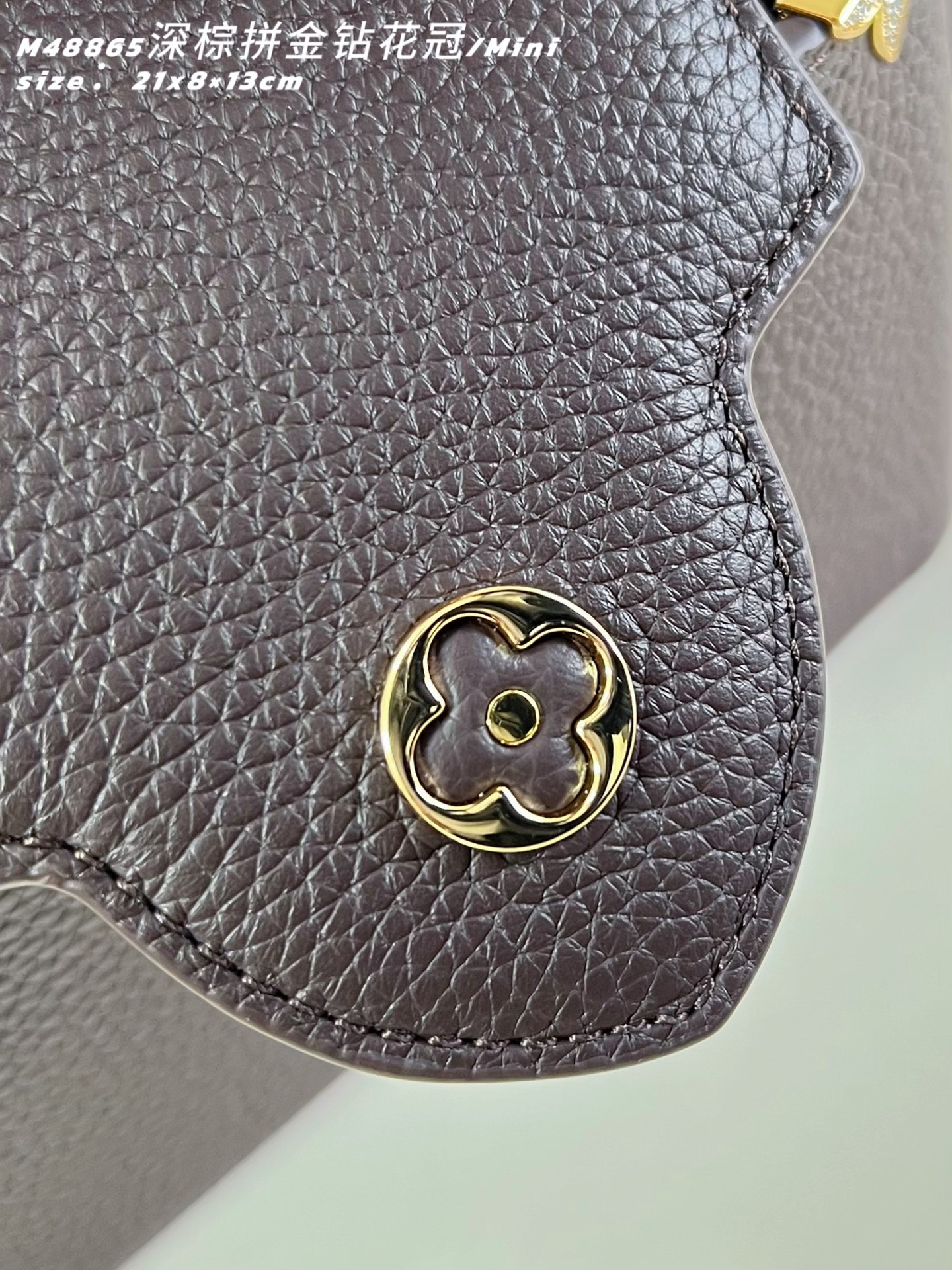 Louis Vuitton Basic Bag Cow Leather M-l-s