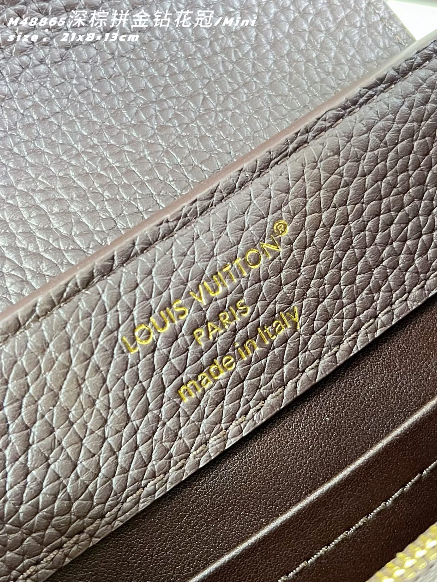 Louis Vuitton Basic Bag Cow Leather M-l-s