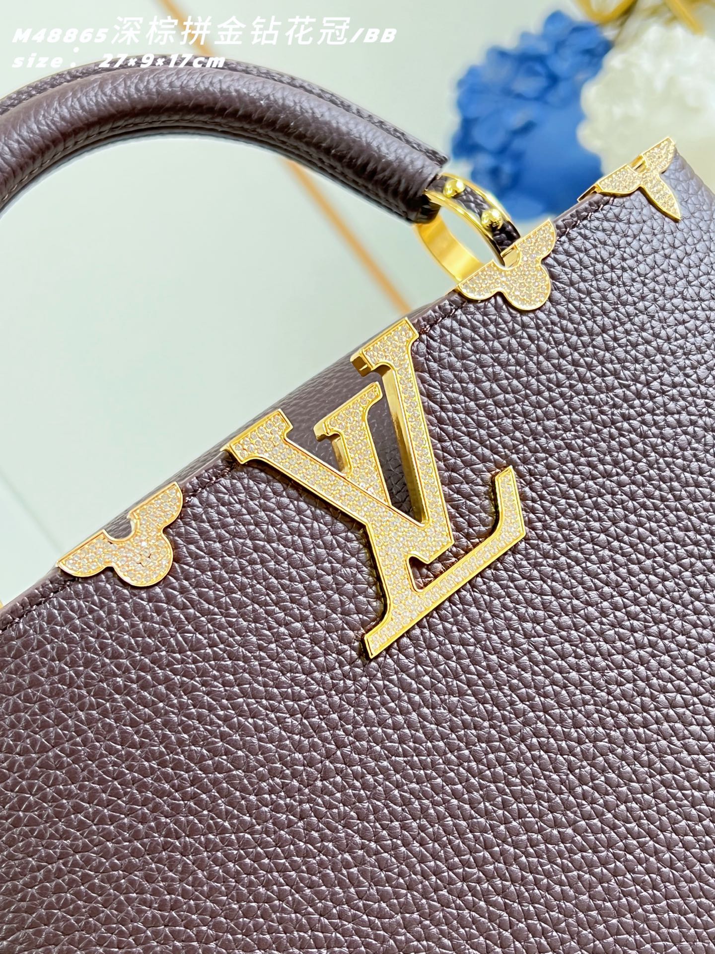 Louis Vuitton Basic Bag Cow Leather M-l-s