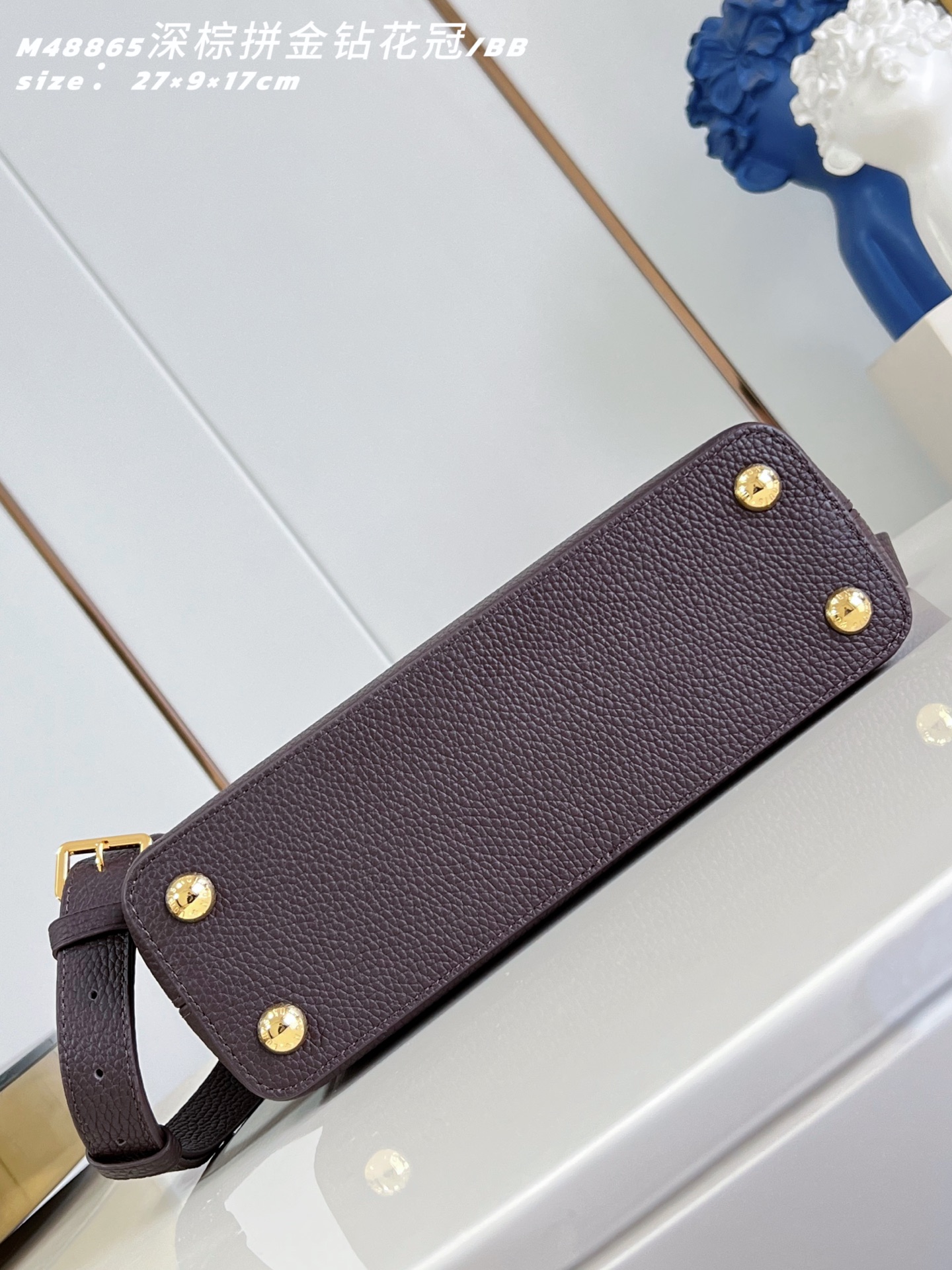 Louis Vuitton Basic Bag Cow Leather M-l-s