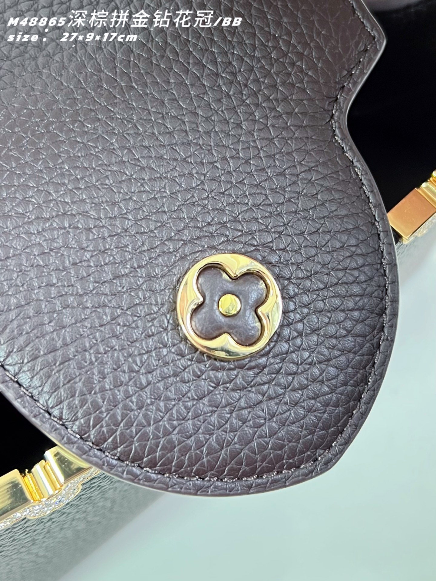 Louis Vuitton Basic Bag Cow Leather M-l-s