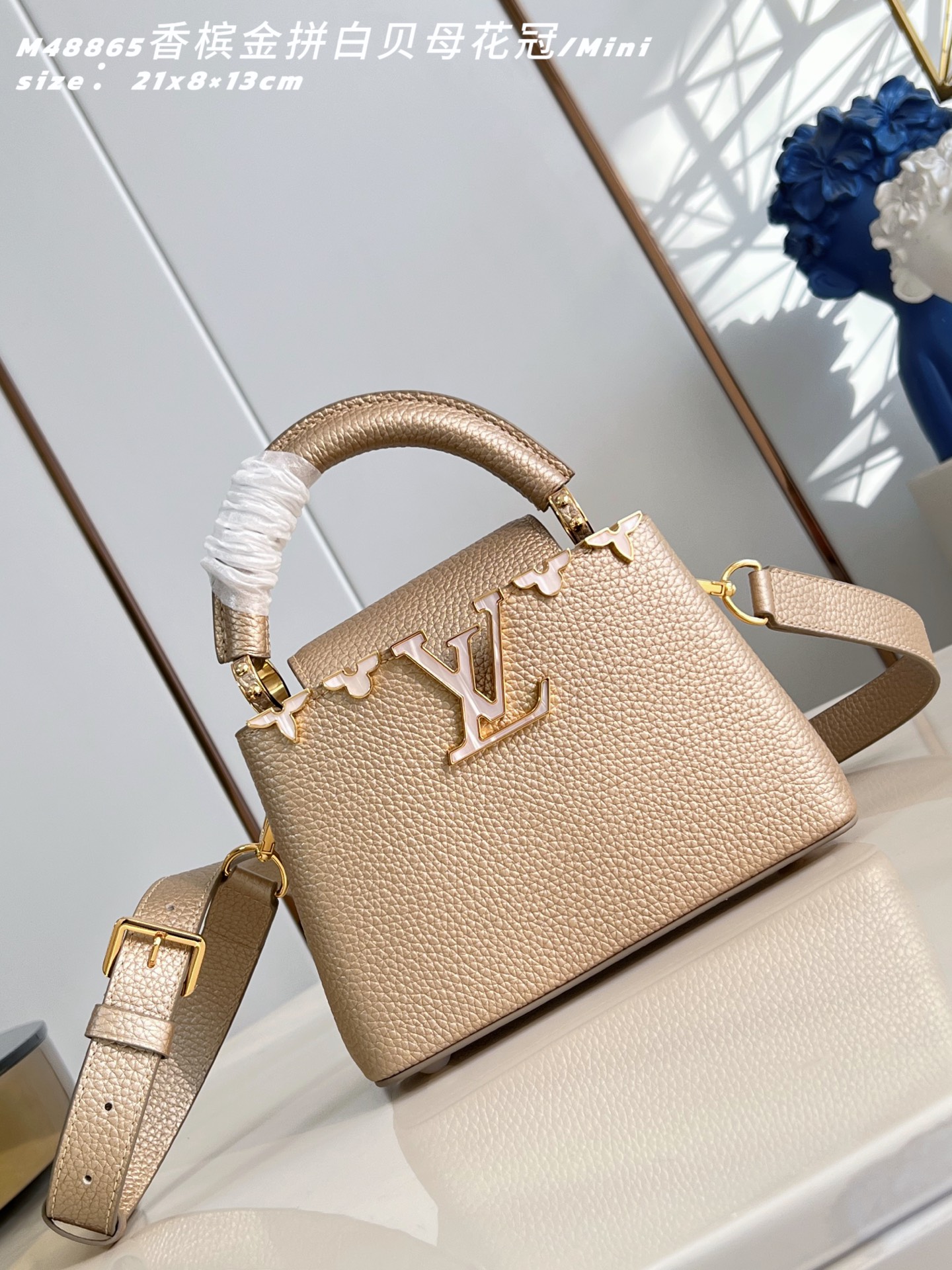 Louis Vuitton Basic Bag Cow Leather M-l-s