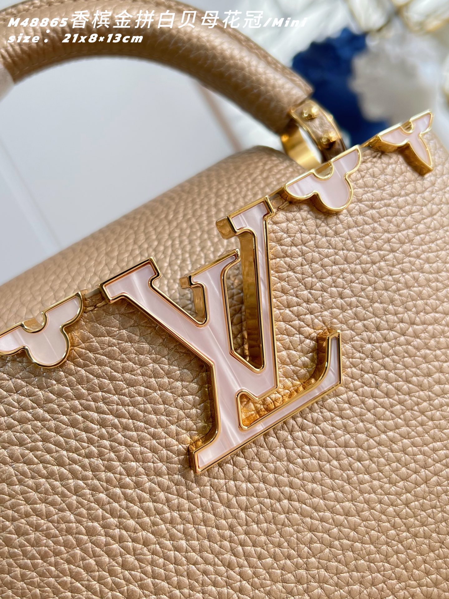 Louis Vuitton Basic Bag Cow Leather M-l-s