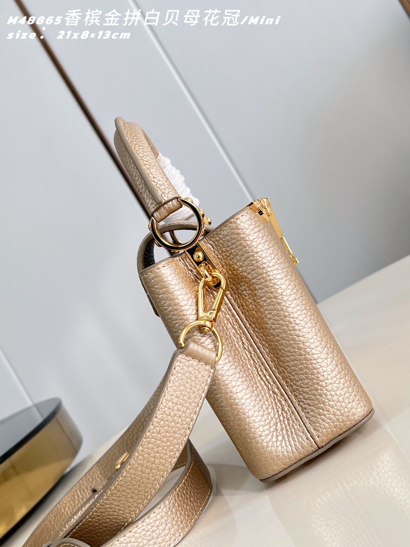 Louis Vuitton Basic Bag Cow Leather M-l-s