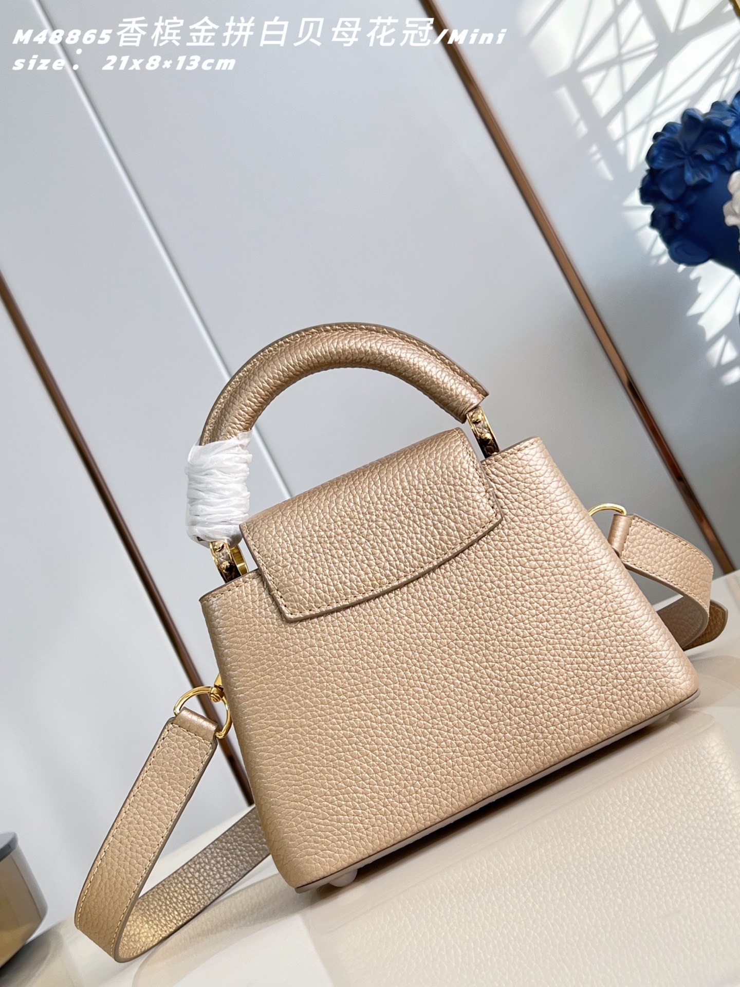 Louis Vuitton Basic Bag Cow Leather M-l-s