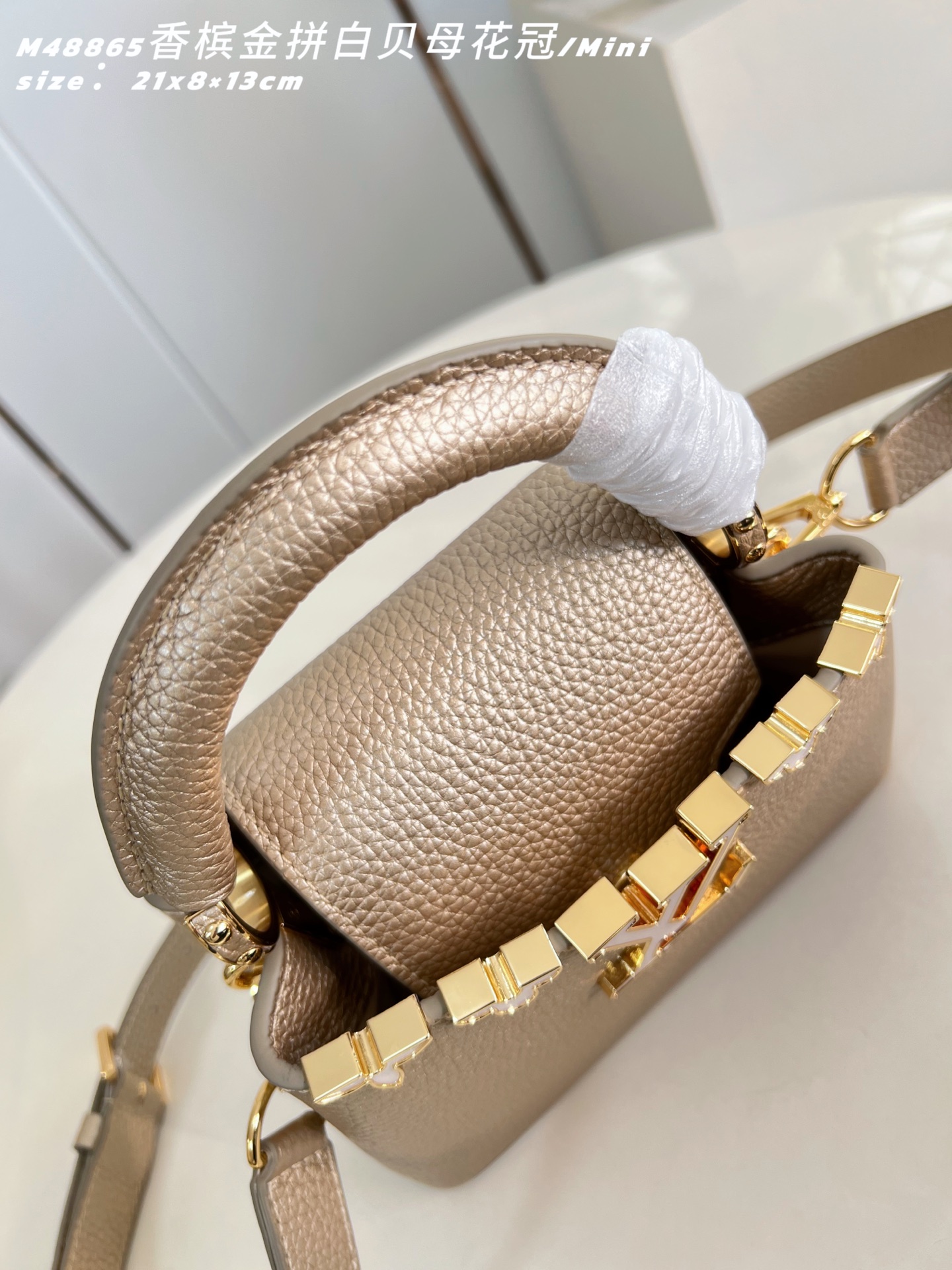 Louis Vuitton Basic Bag Cow Leather M-l-s