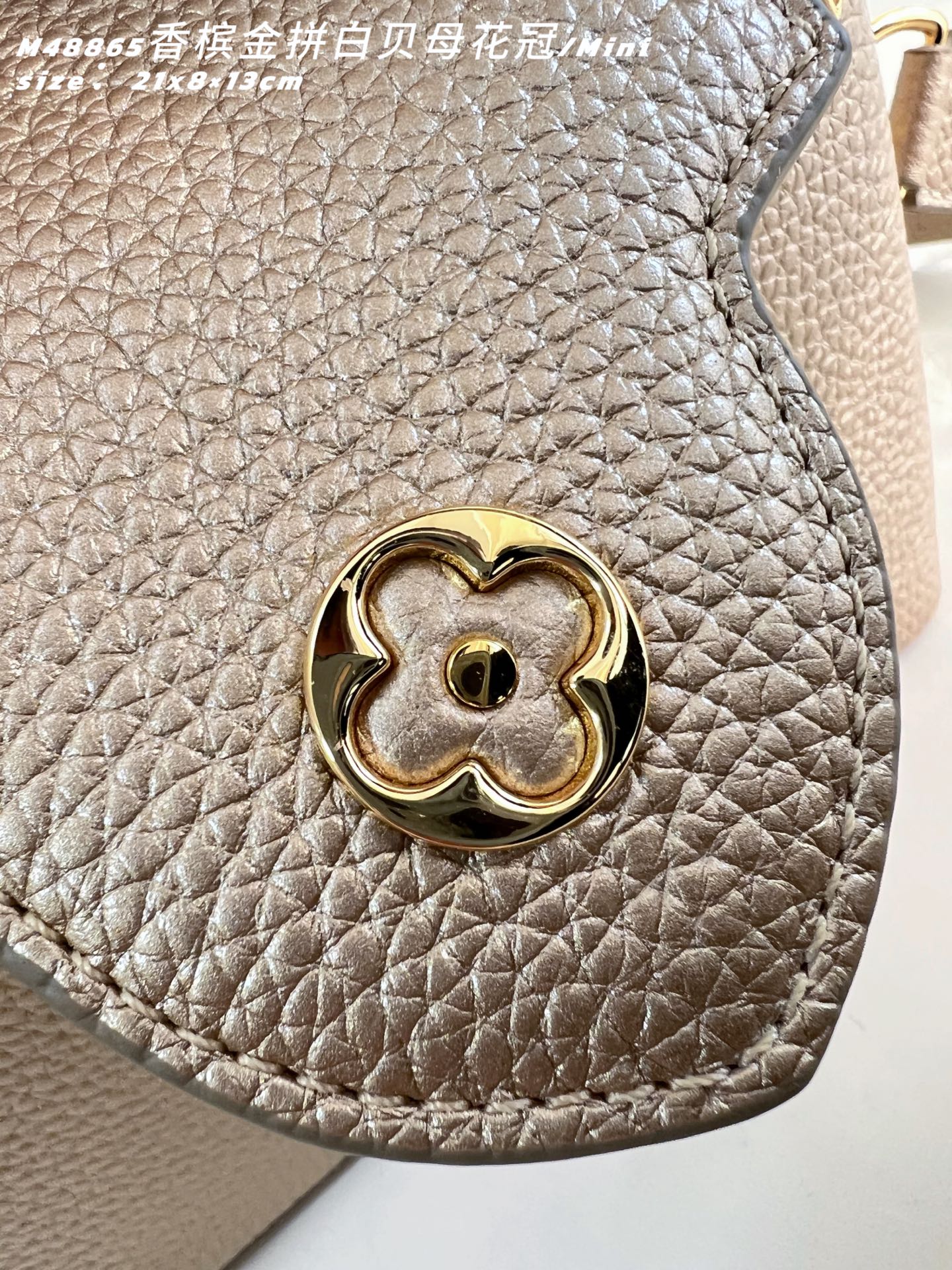 Louis Vuitton Basic Bag Cow Leather M-l-s