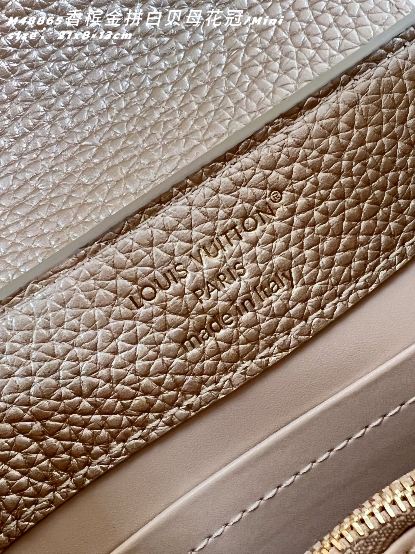 Louis Vuitton Basic Bag Cow Leather M-l-s