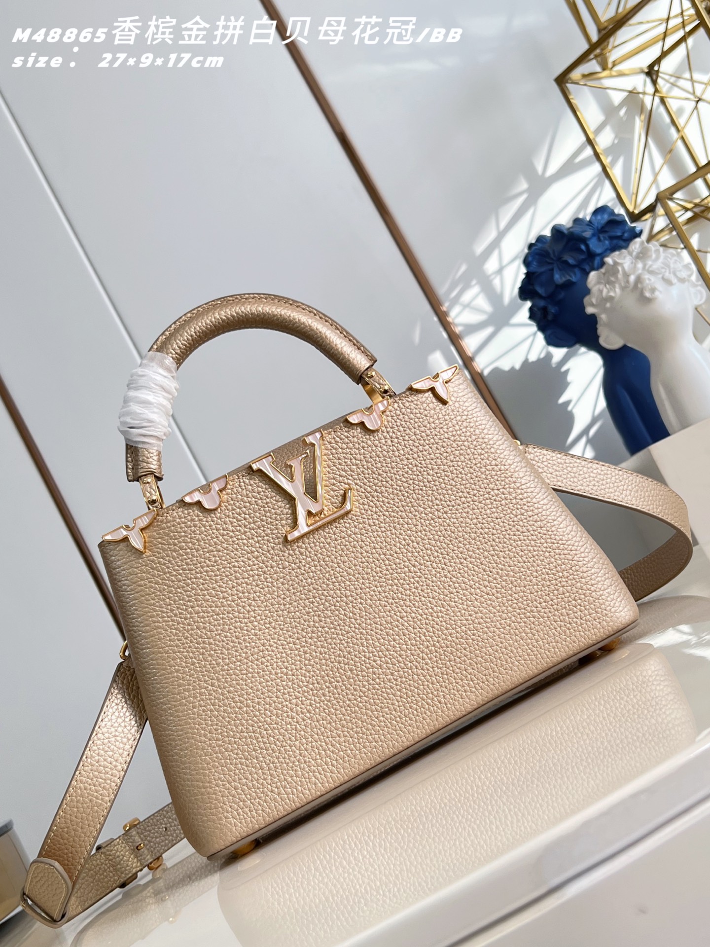 Louis Vuitton Basic Bag Cow Leather M-l-s