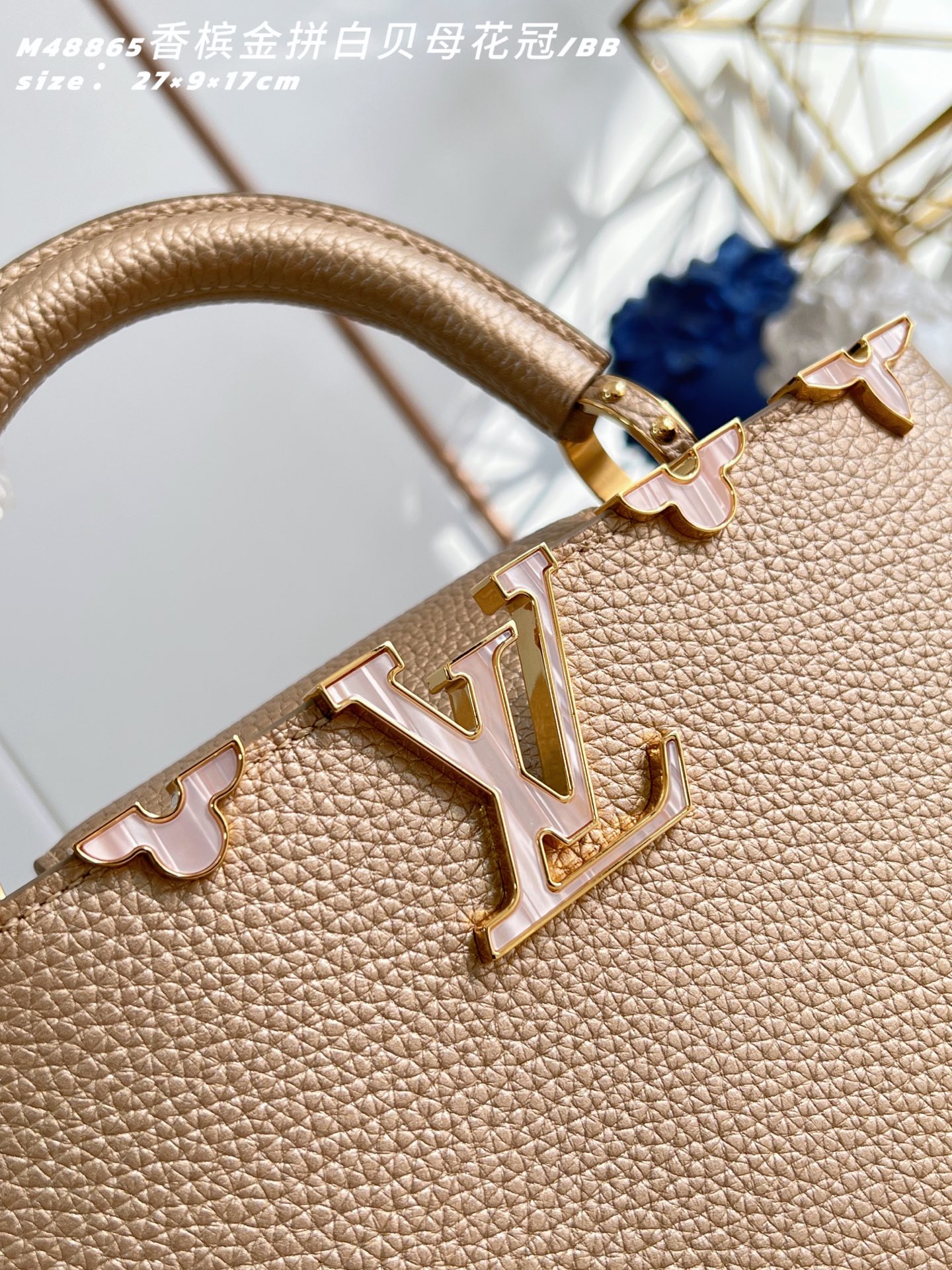 Louis Vuitton Basic Bag Cow Leather M-l-s