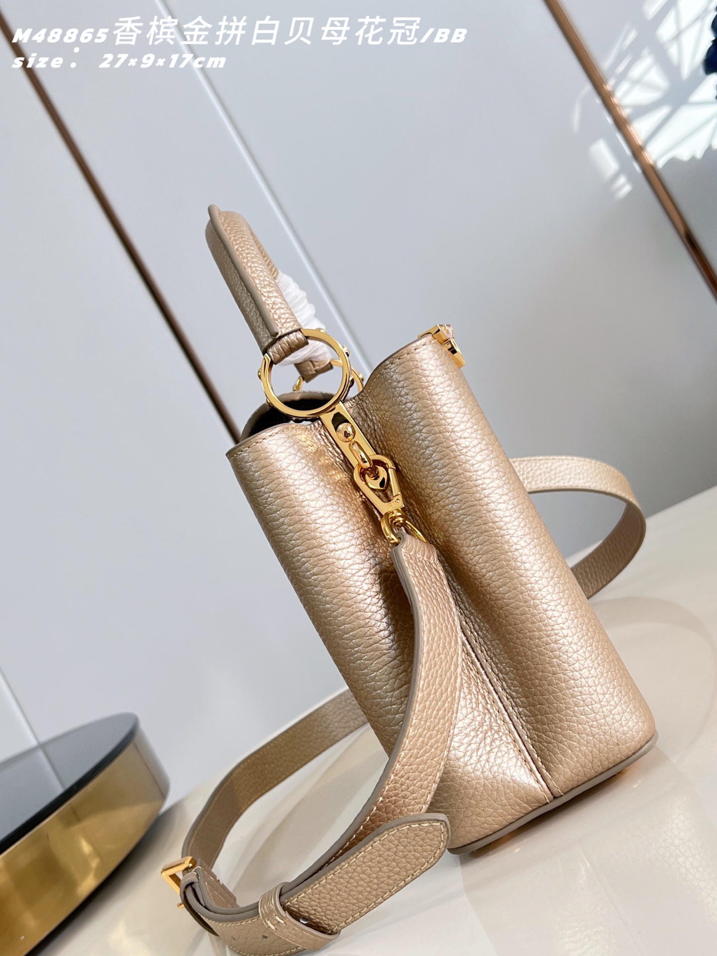 Louis Vuitton Basic Bag Cow Leather M-l-s