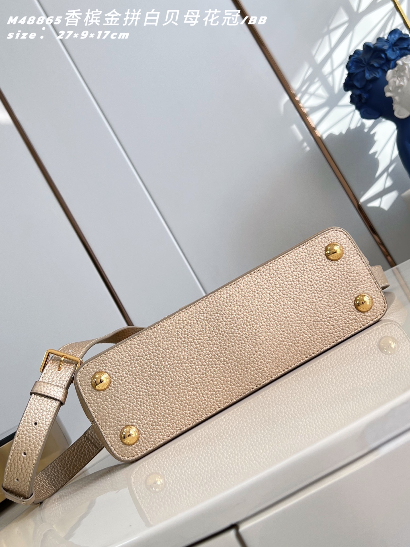 Louis Vuitton Basic Bag Cow Leather M-l-s