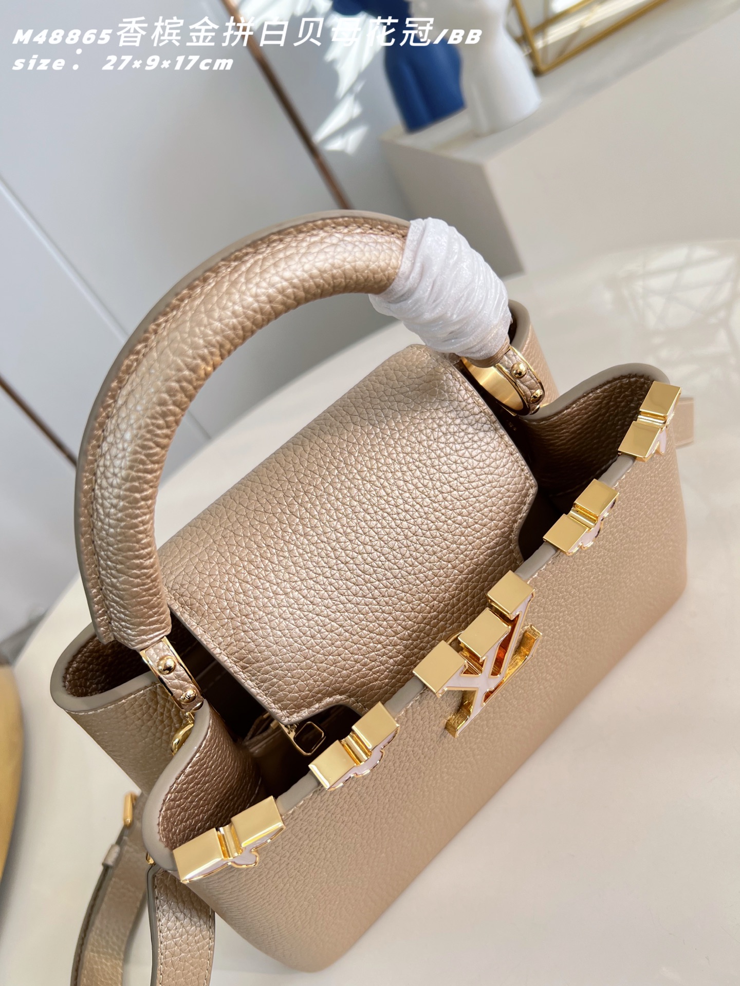 Louis Vuitton Basic Bag Cow Leather M-l-s