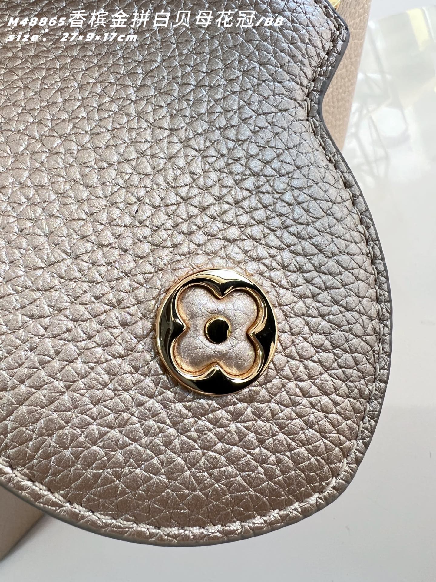 Louis Vuitton Basic Bag Cow Leather M-l-s