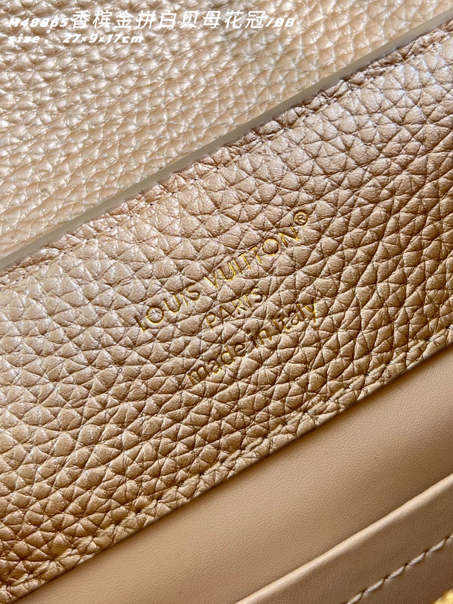 Louis Vuitton Basic Bag Cow Leather M-l-s