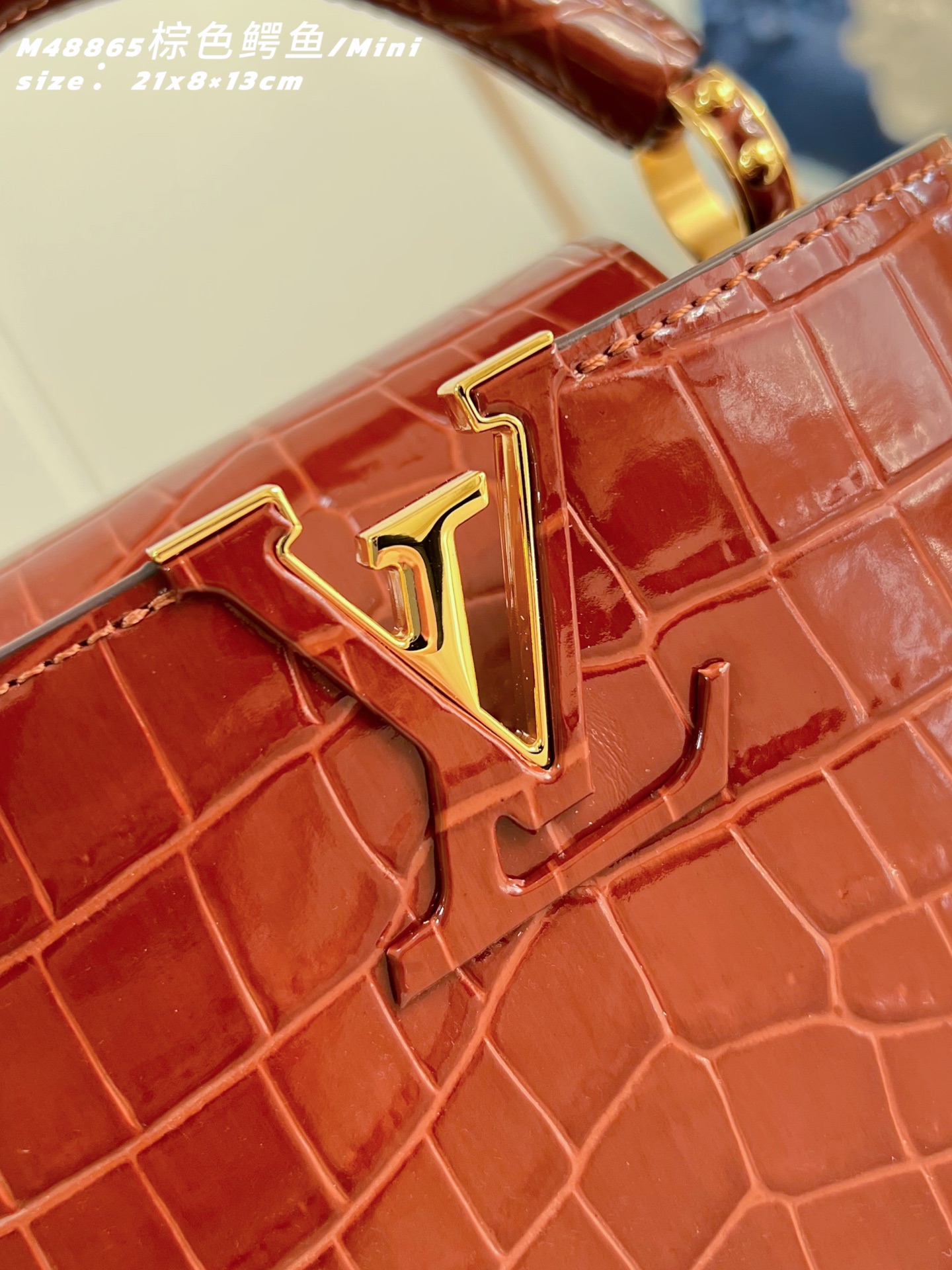 Louis Vuitton Basic Bag Sheepskin Brown M-s