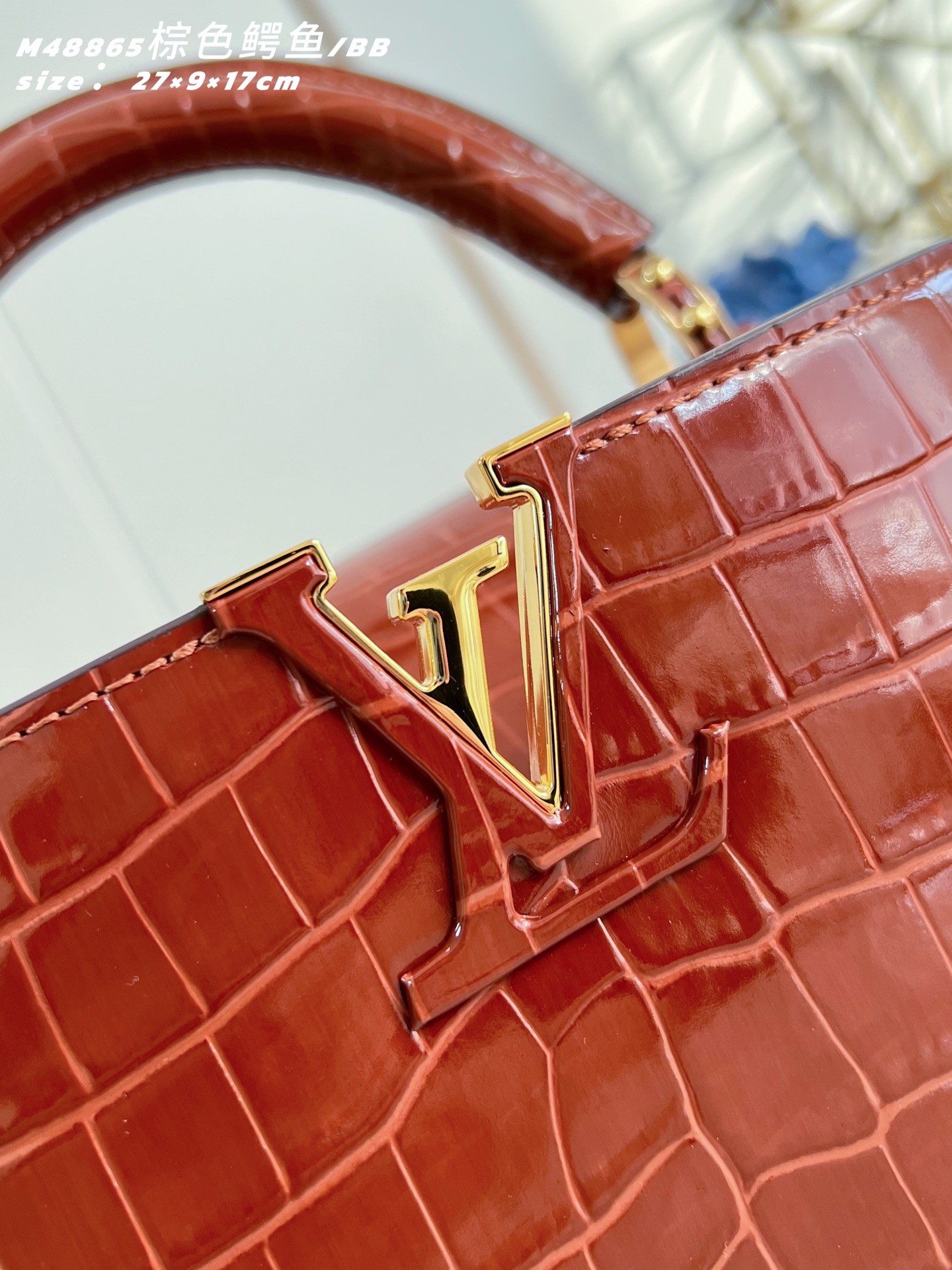 Louis Vuitton Basic Bag Sheepskin Brown M-s