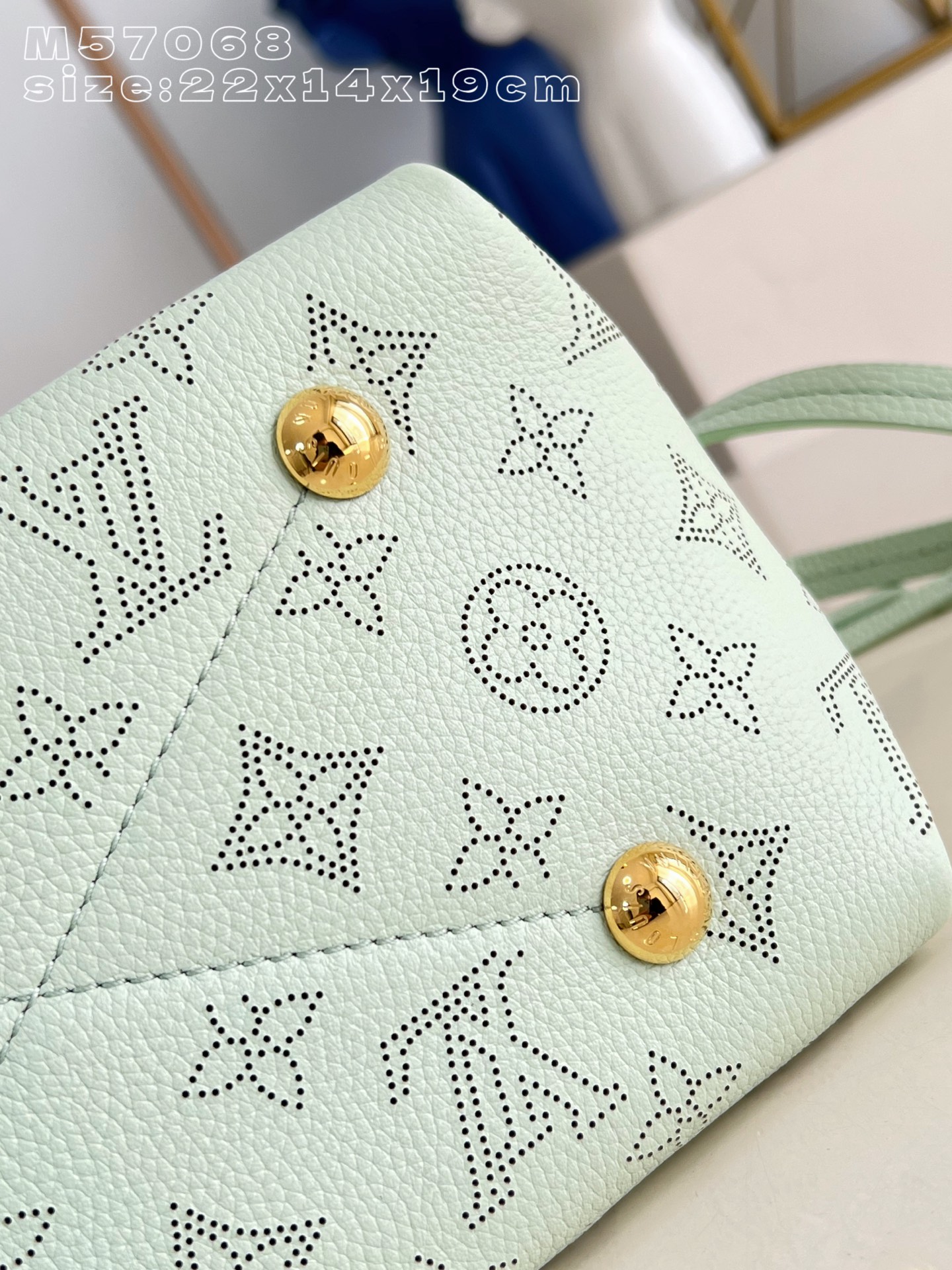 Louis Vuitton Basic Bag M-l