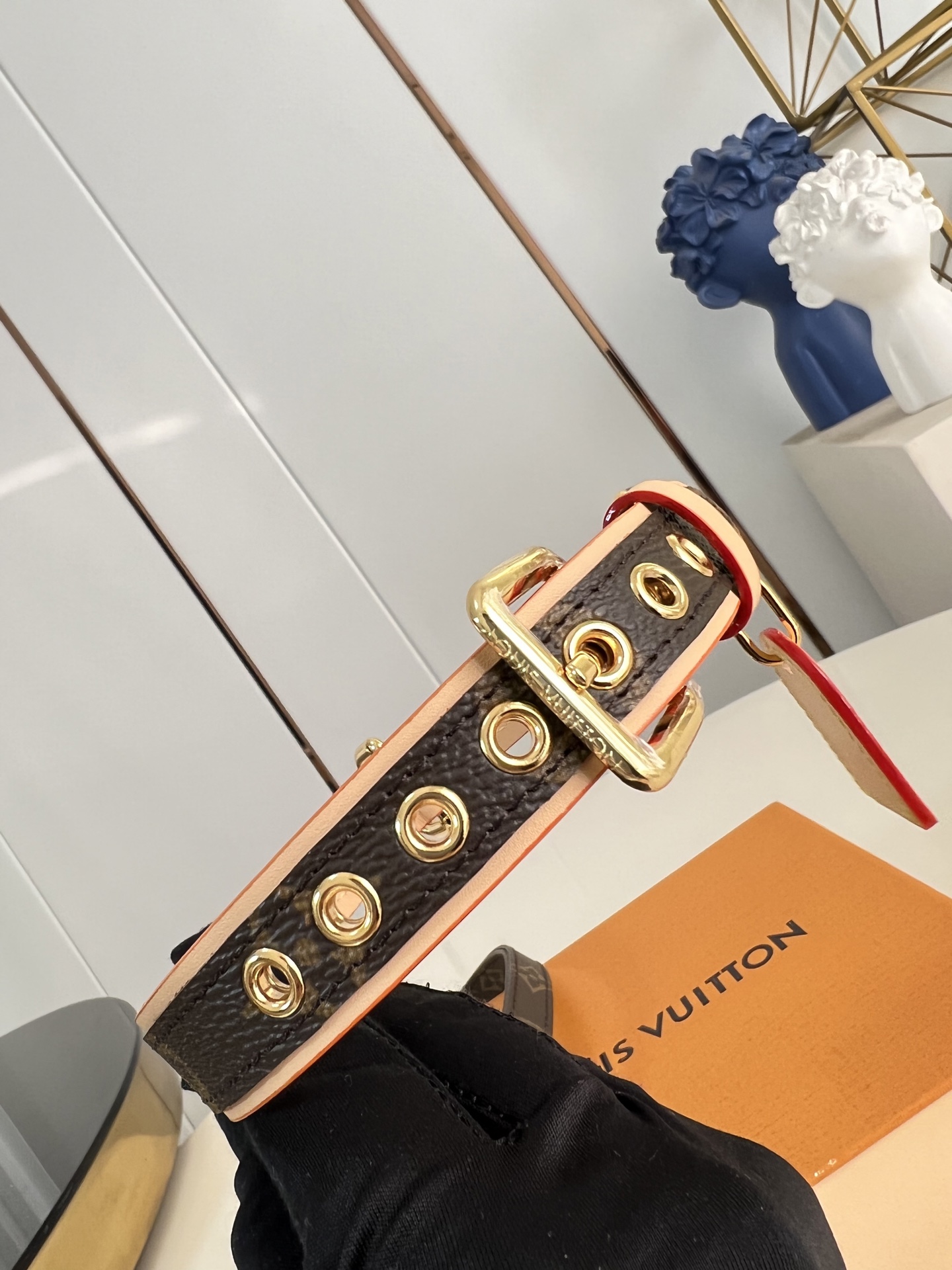 Louis Vuitton Basic Bag Cow Leather M