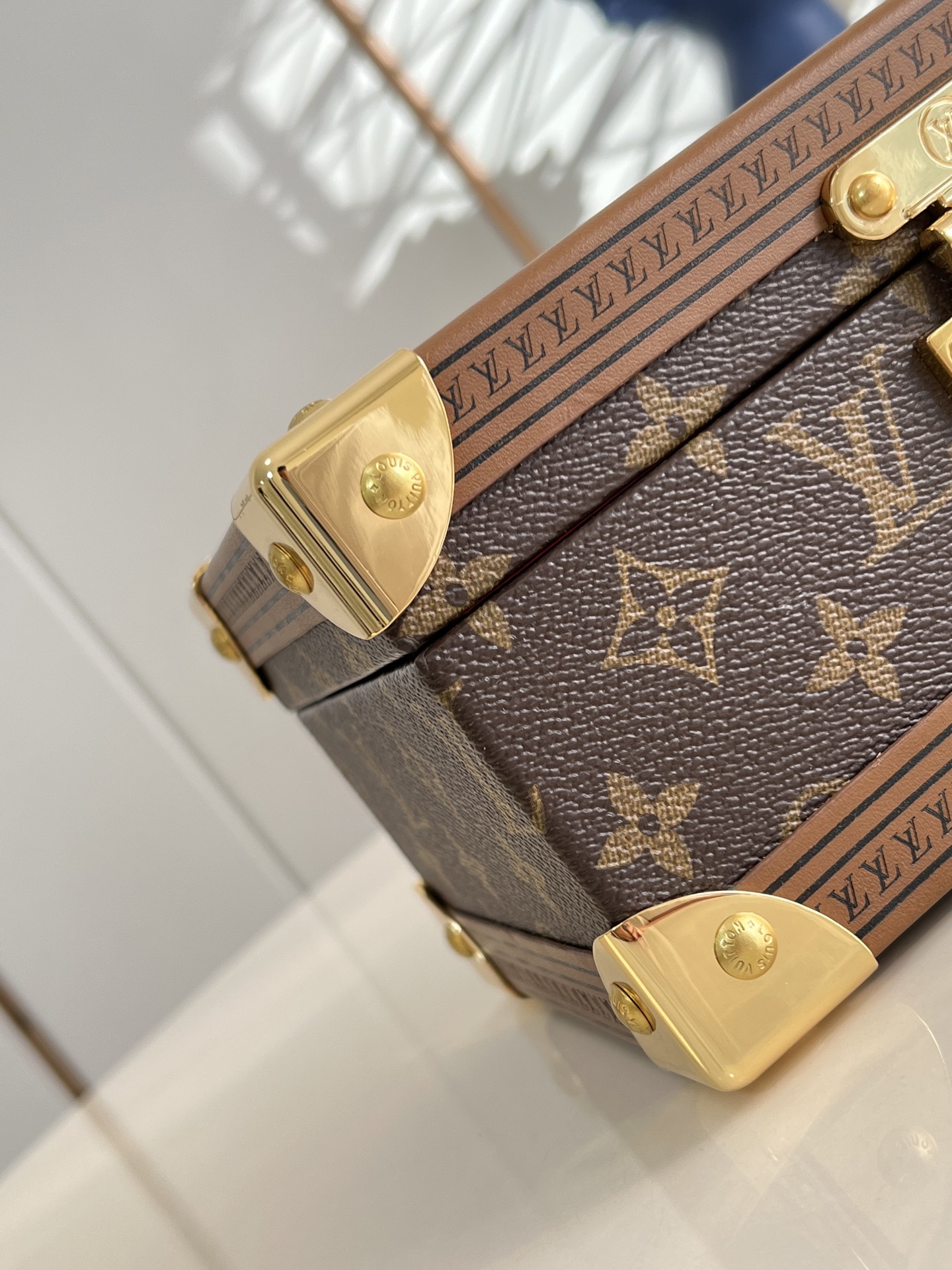 Louis Vuitton Basic Bag Canvas M-s