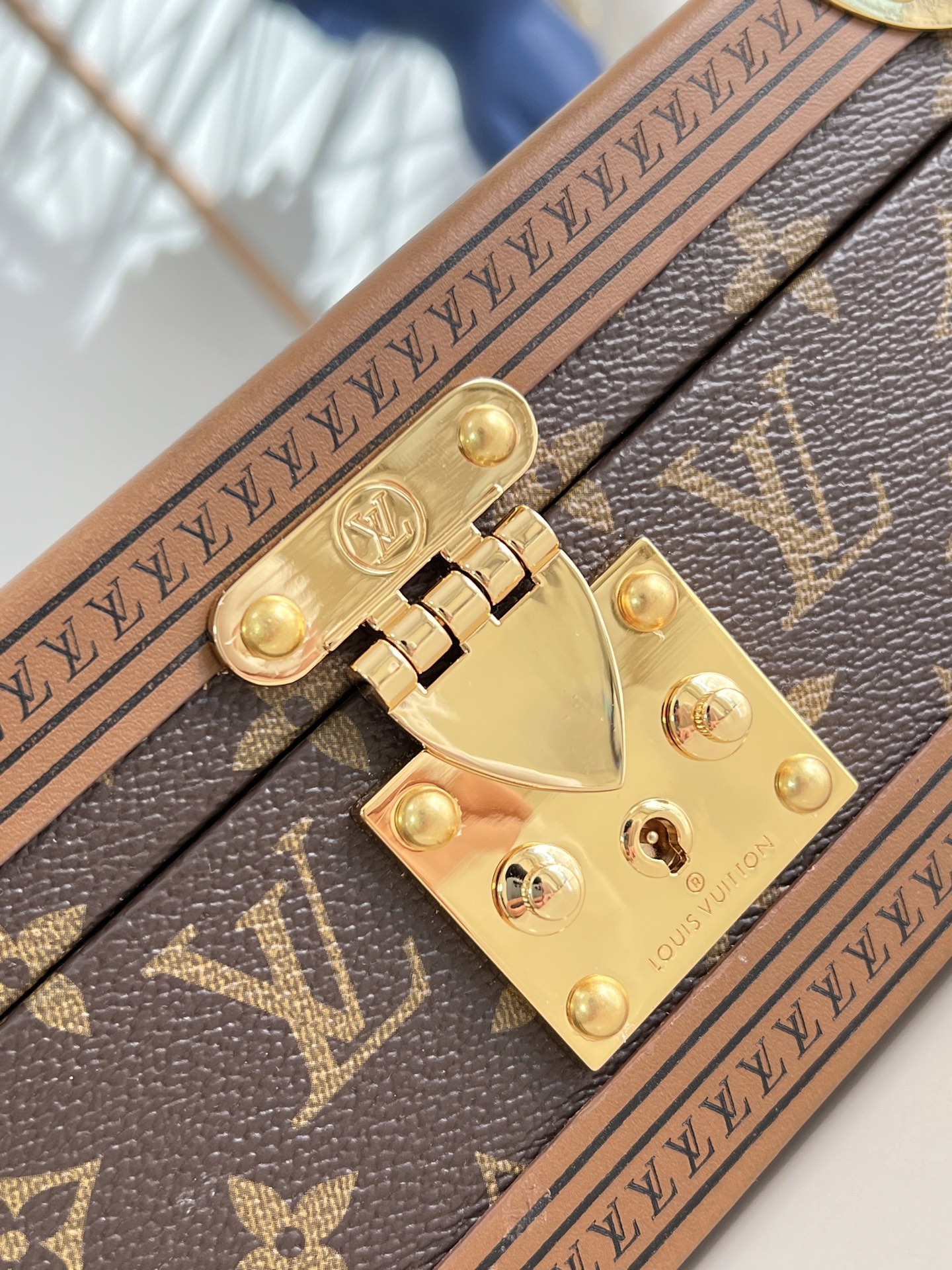 Louis Vuitton Basic Bag Canvas M-s