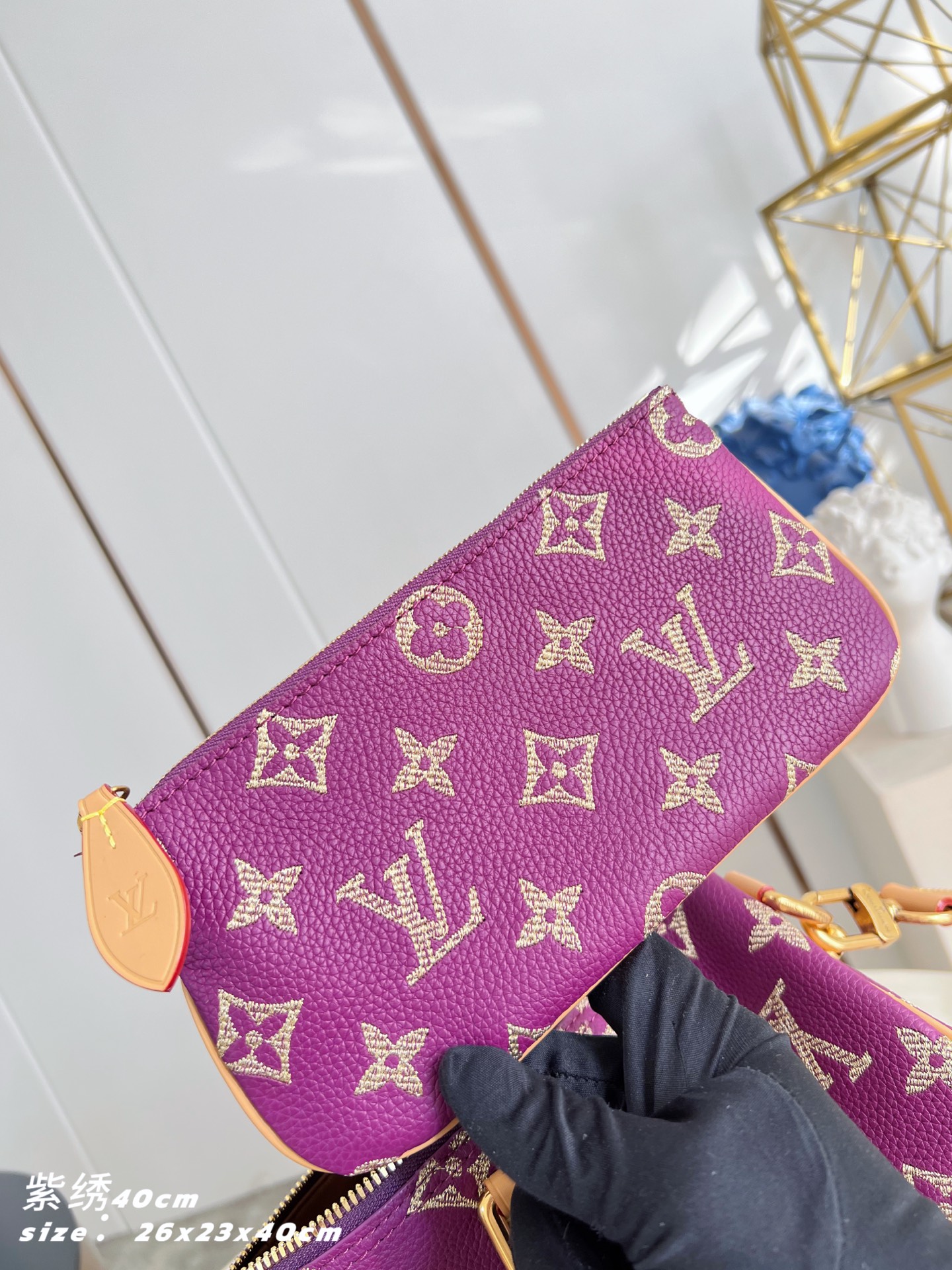 Louis Vuitton Basic Bag Cow Leather 40cm-m-l-s