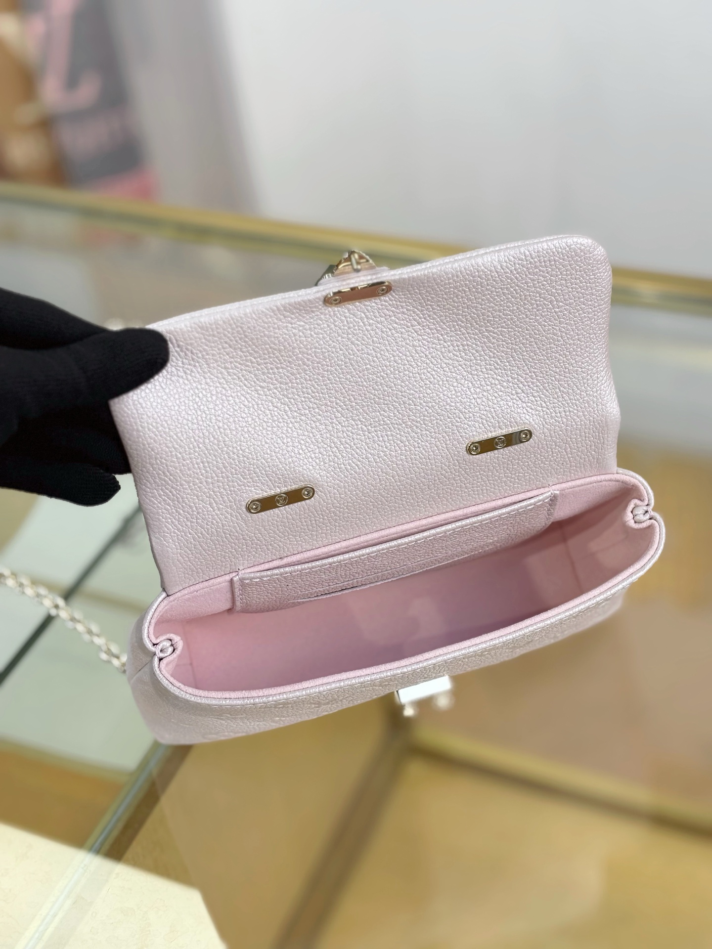 Louis Vuitton Basic Bag M-l