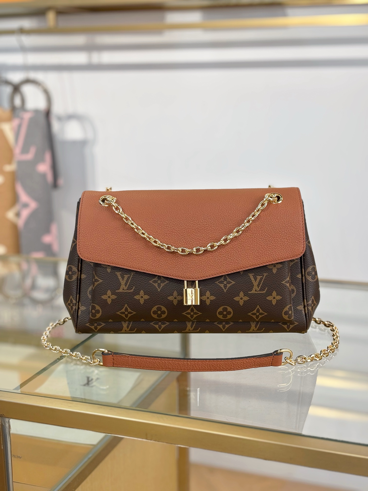 Louis Vuitton Basic Bag Brown M-s