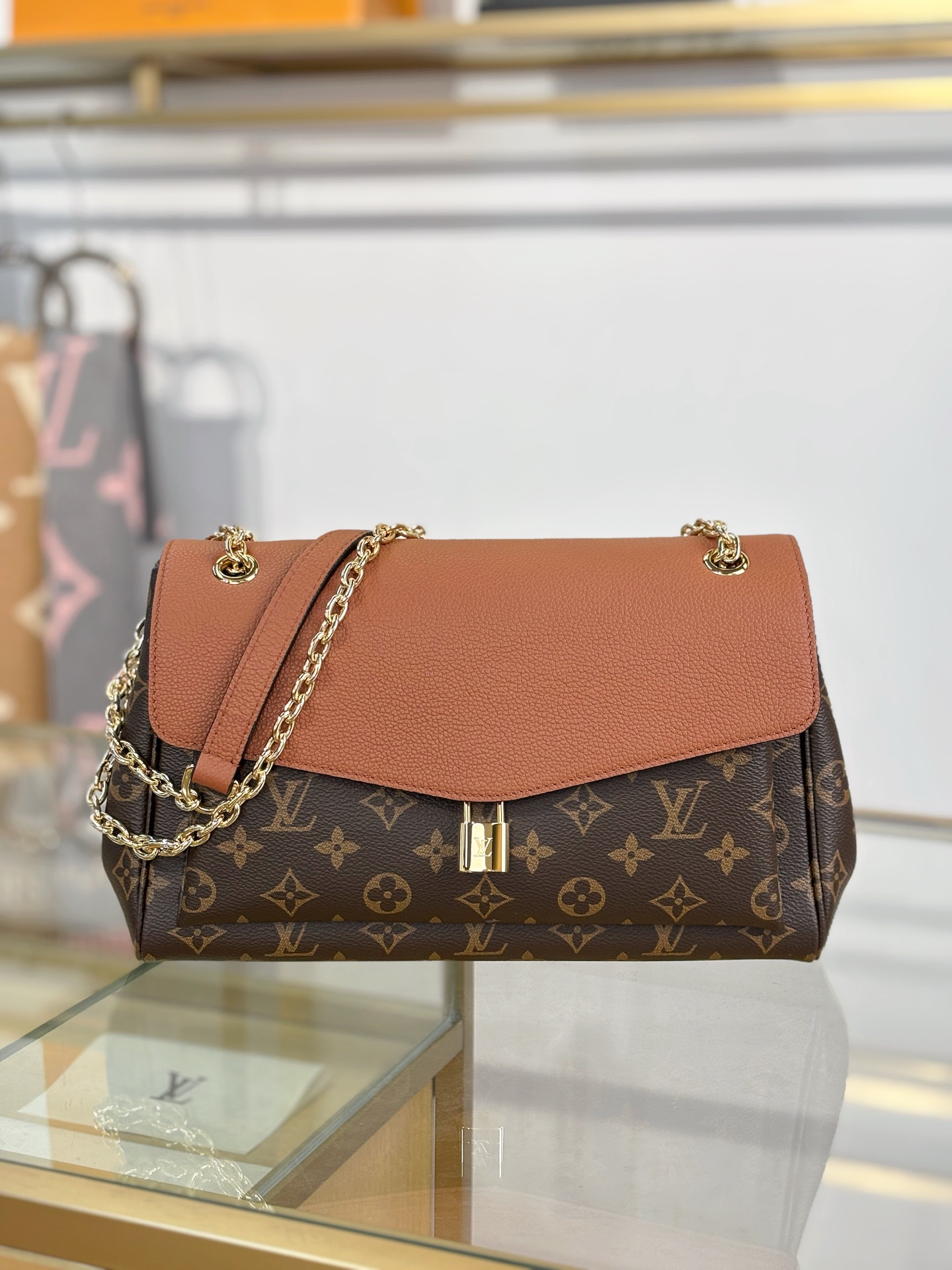 Louis Vuitton Basic Bag Brown M-s