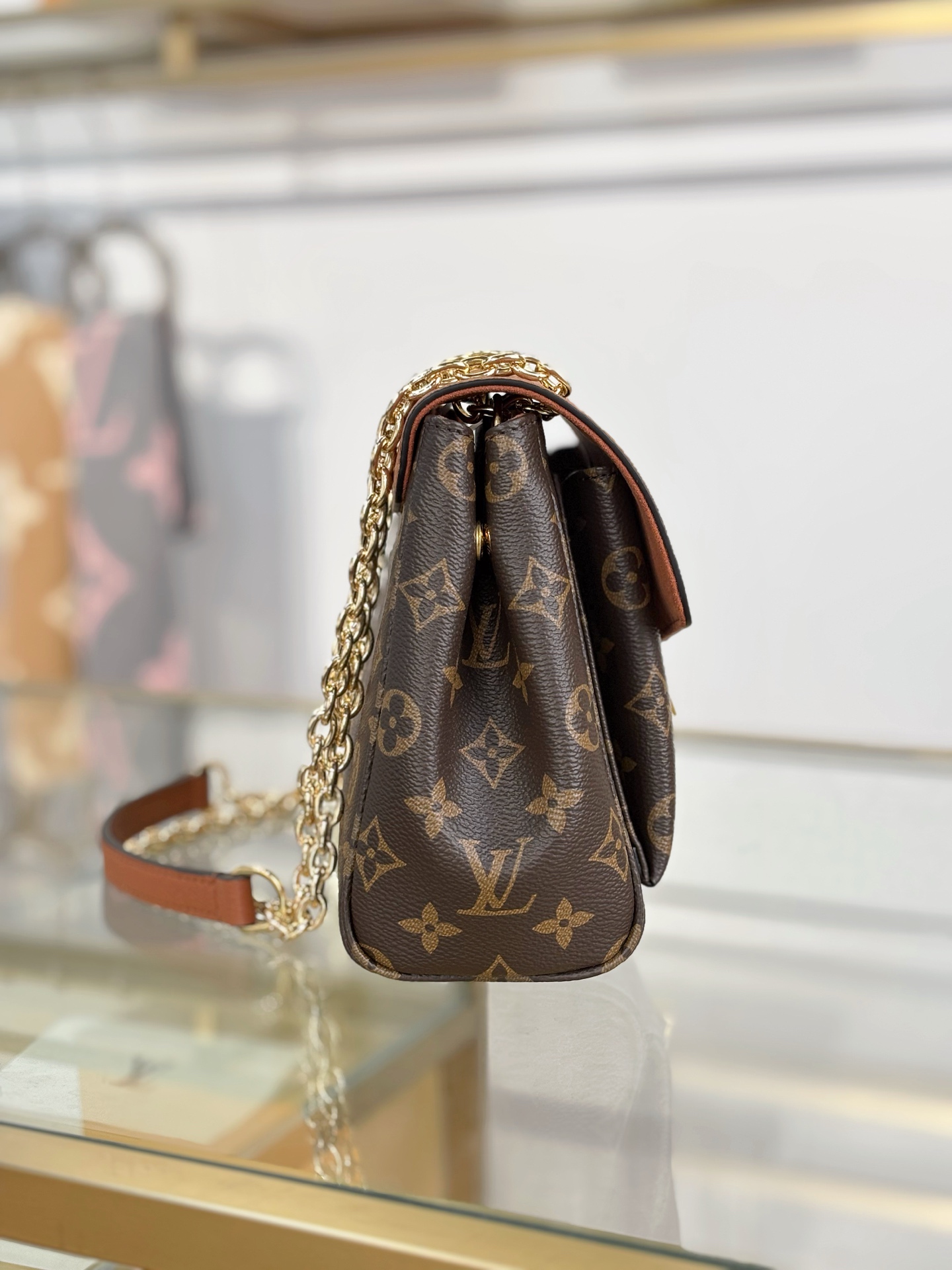 Louis Vuitton Basic Bag Brown M-s