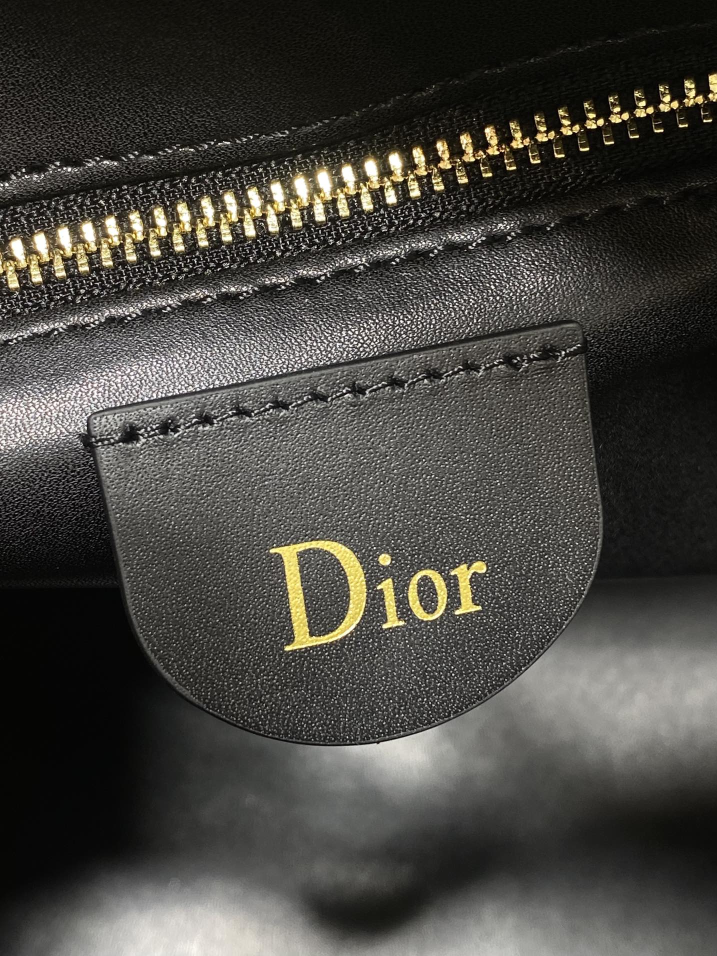 Dior Female Basic Bag Black 20cm-l-s