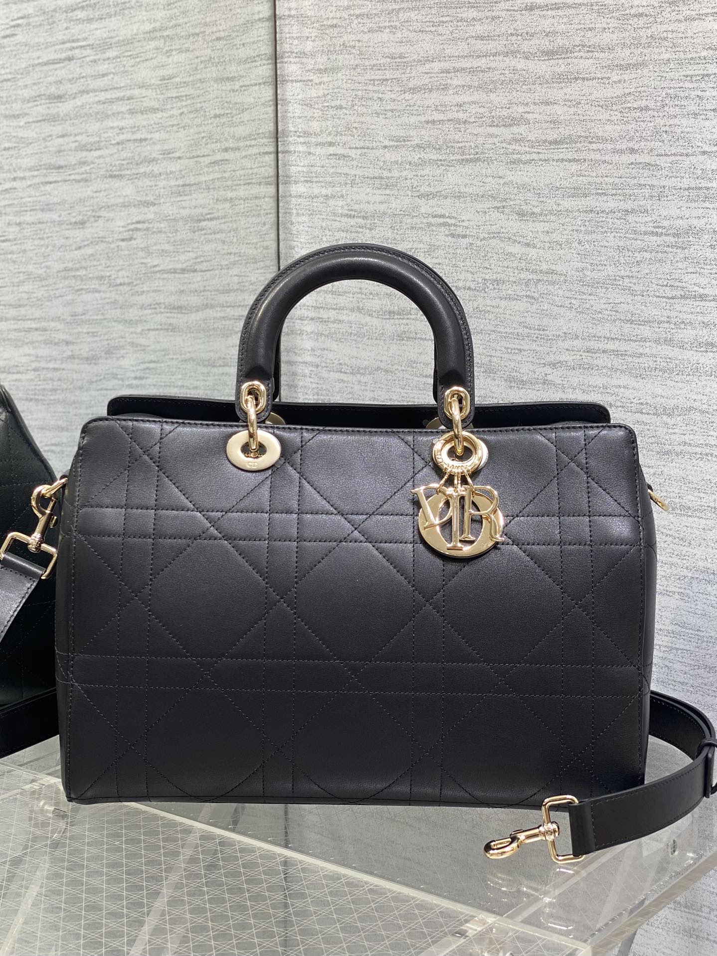 Dior Female Basic Bag Black 20cm-l-s