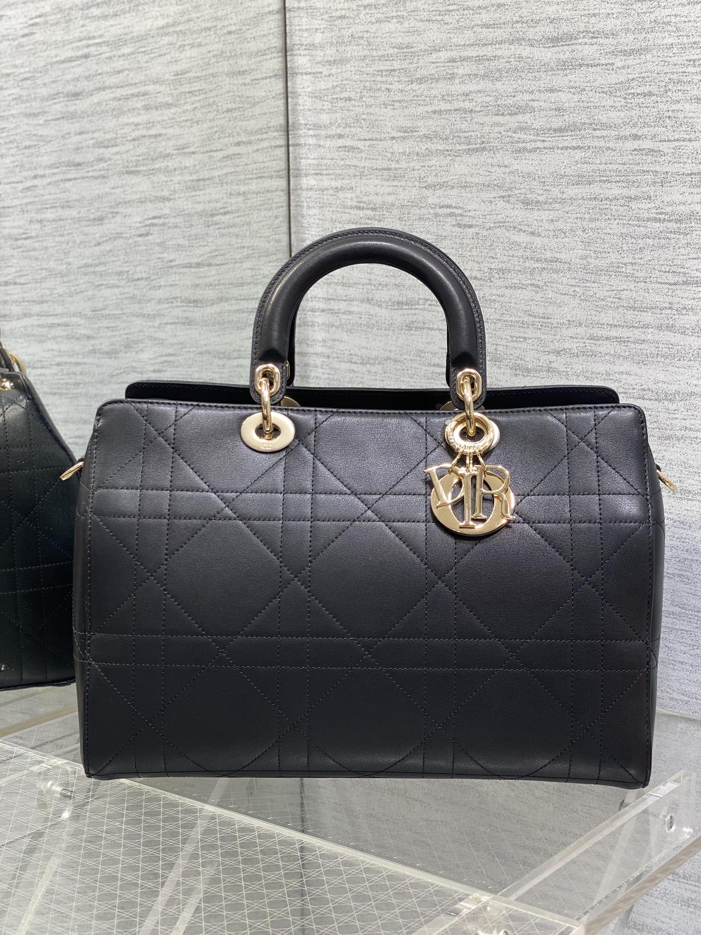Dior Female Basic Bag Black 20cm-l-s