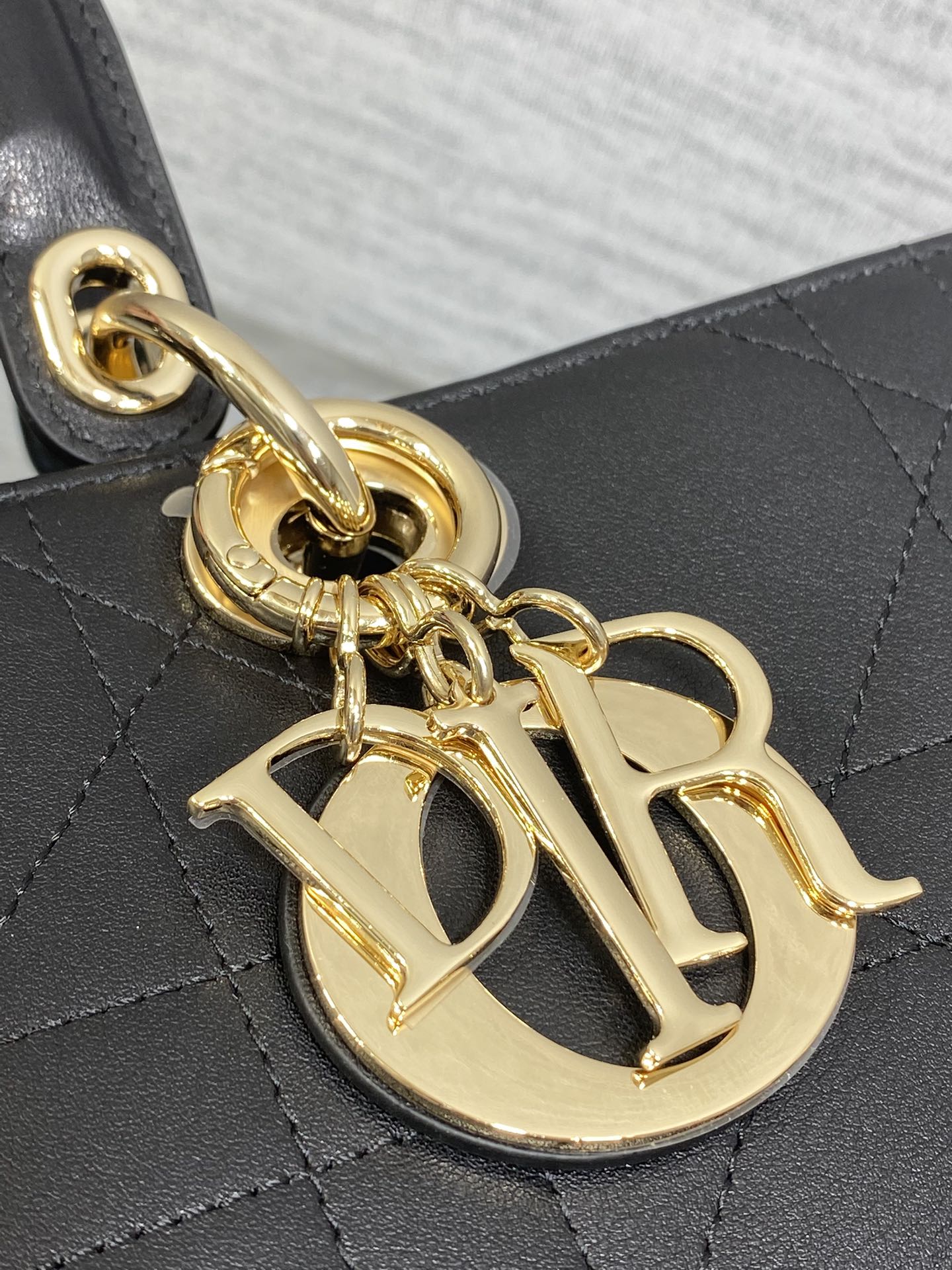 Dior Female Basic Bag Black 20cm-l-s