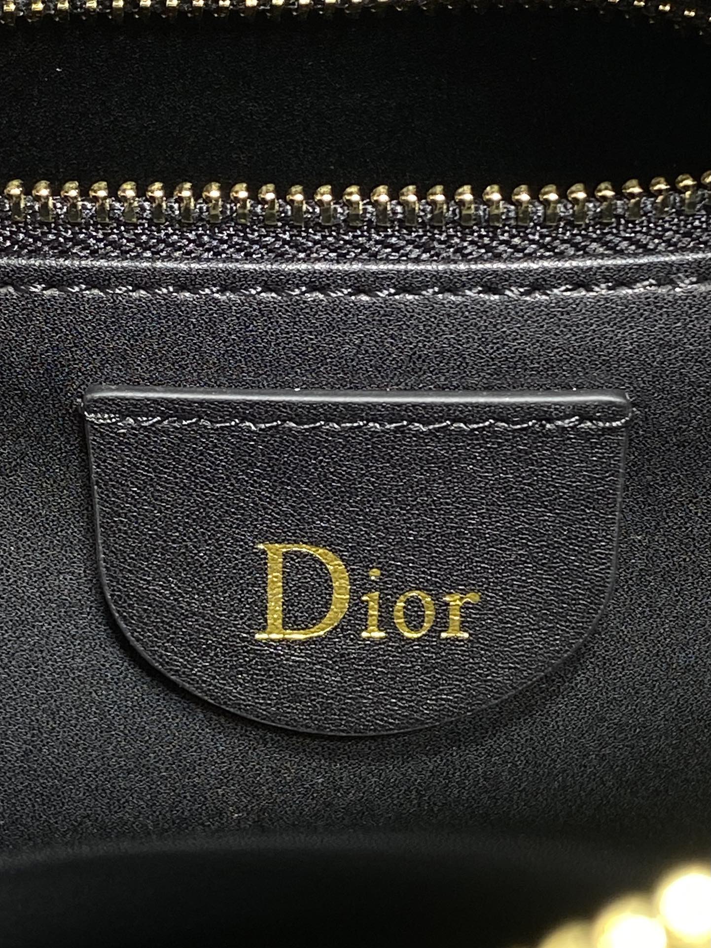 Dior Female Basic Bag Black 20cm-l-s
