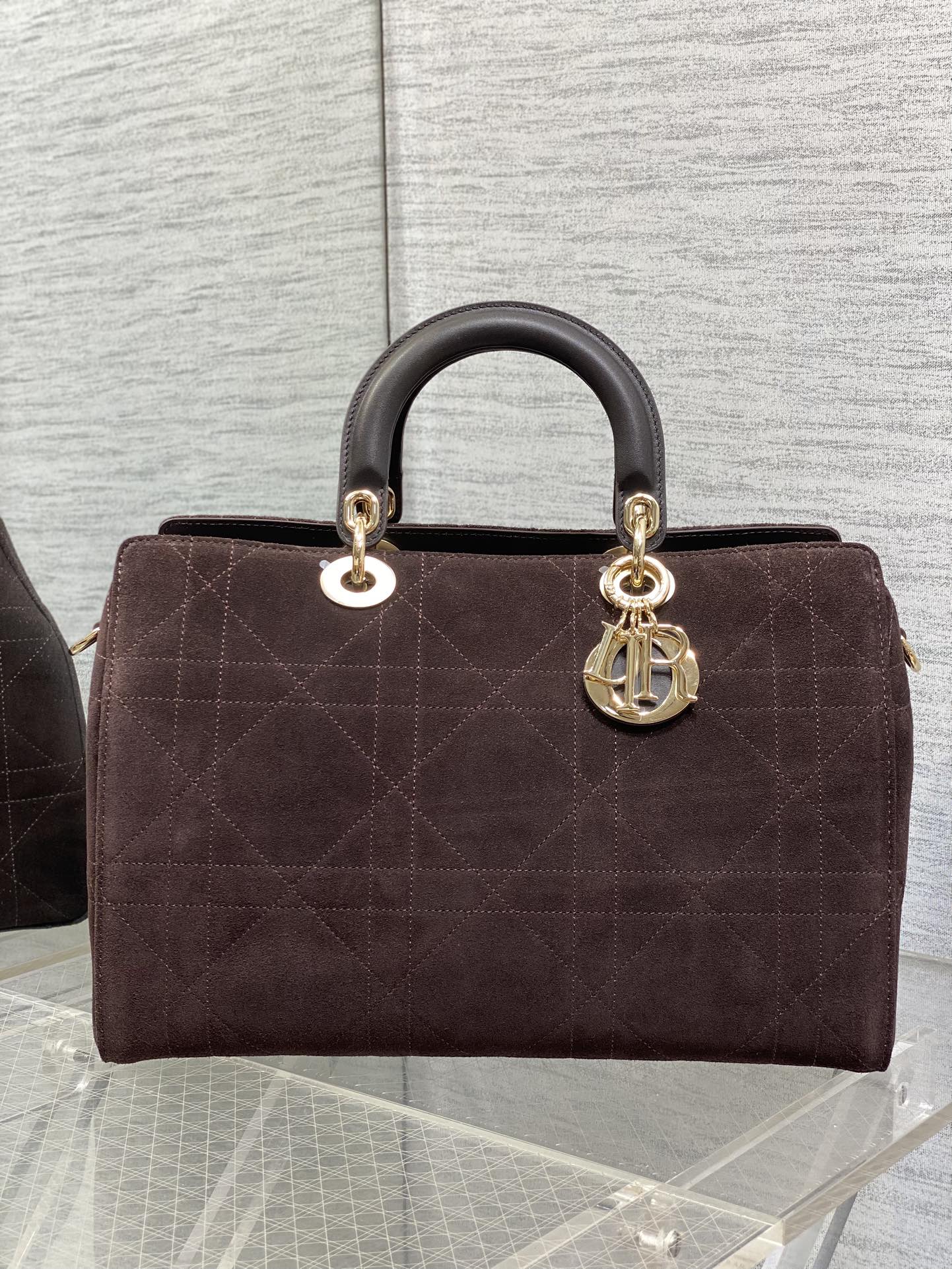 Dior Female Basic Bag Coffee 20cm-l-s